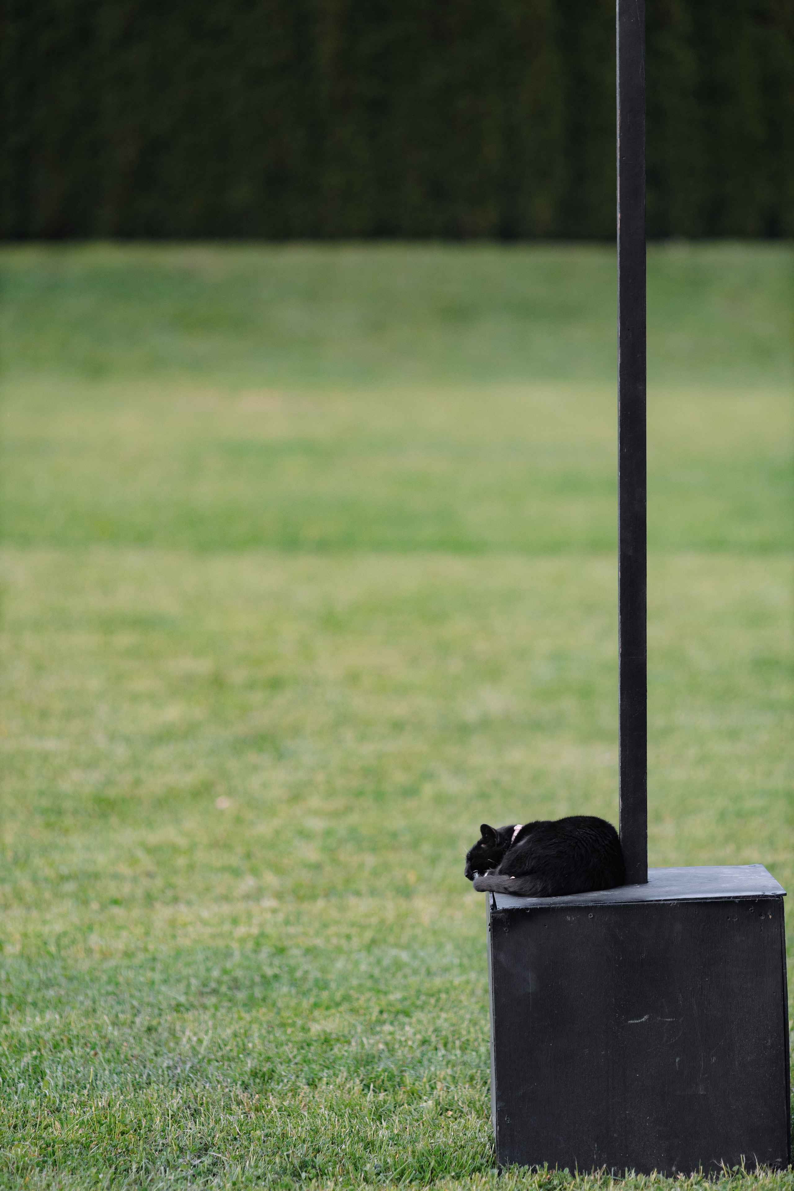 Свадебная фотосъемка в усадьбе Royal Hall