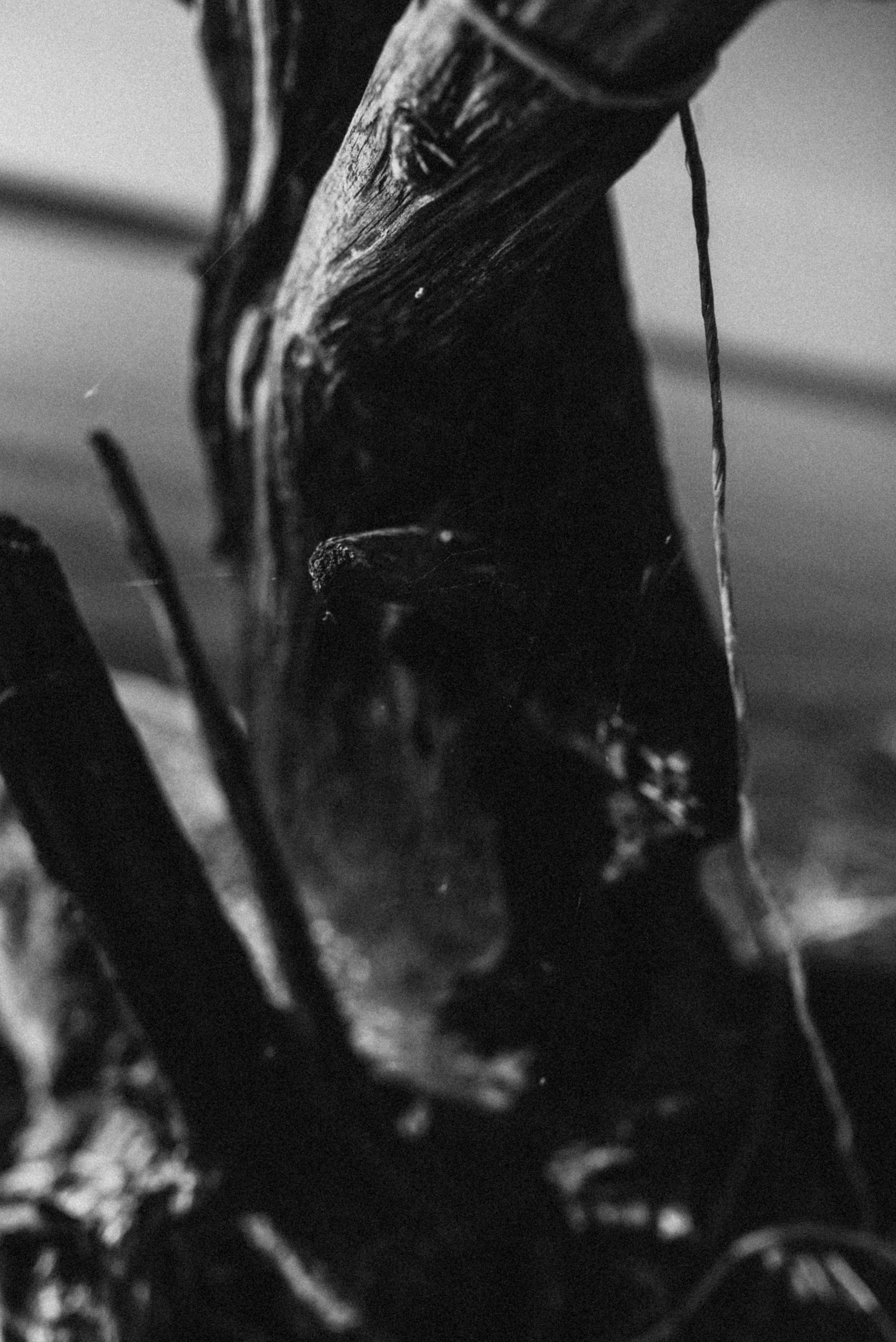 *. Фотограф Данил Бушуев