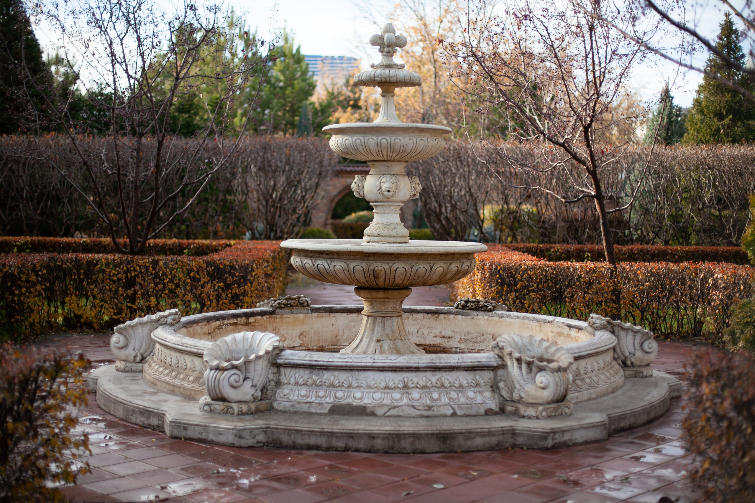 Сады Мечты. Контент для сайта. Фотограф Дарья Локотко в Красноярске