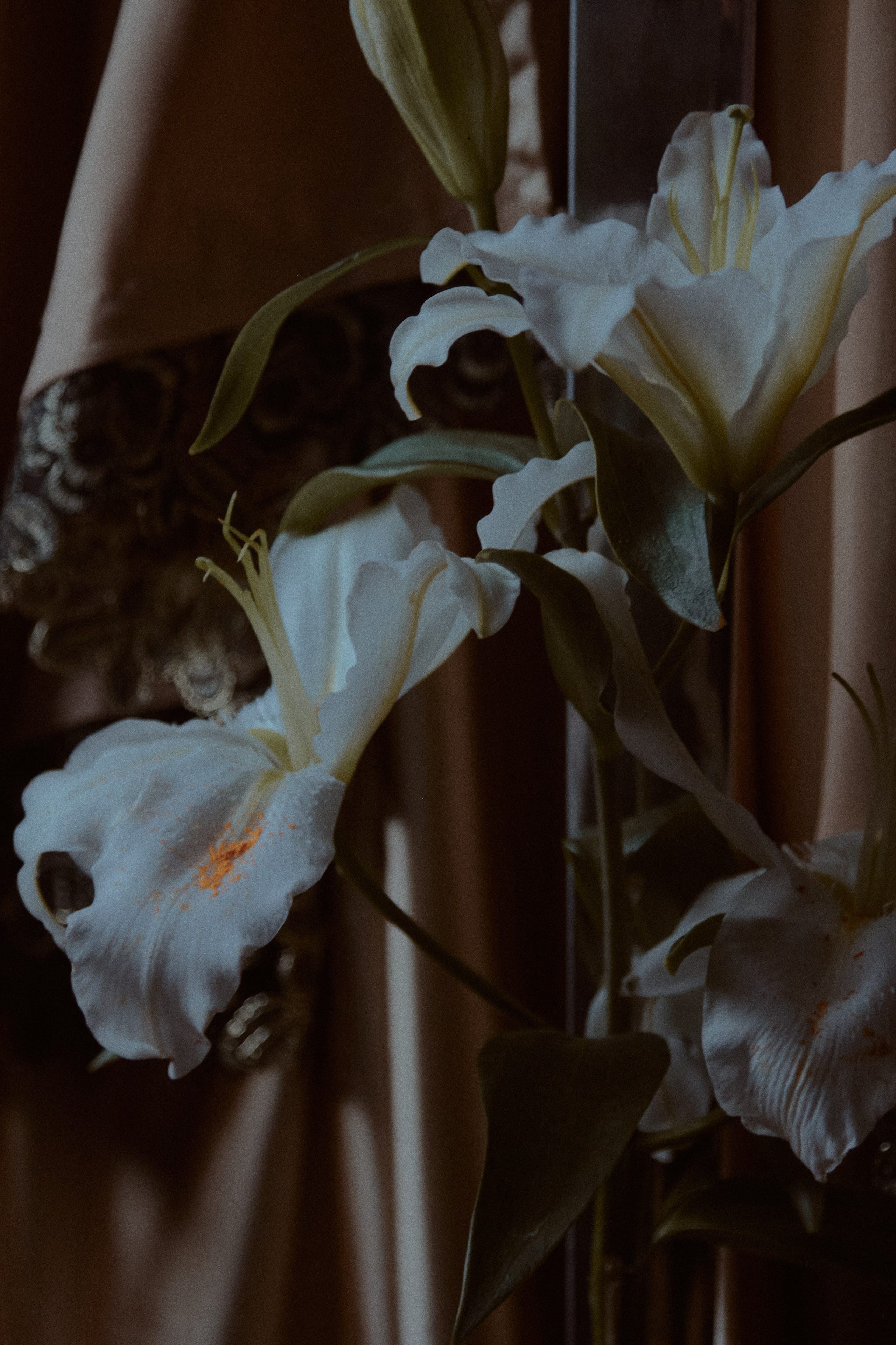 Сила. Фотограф лавстори Москва/МО Приятелева Ангелина