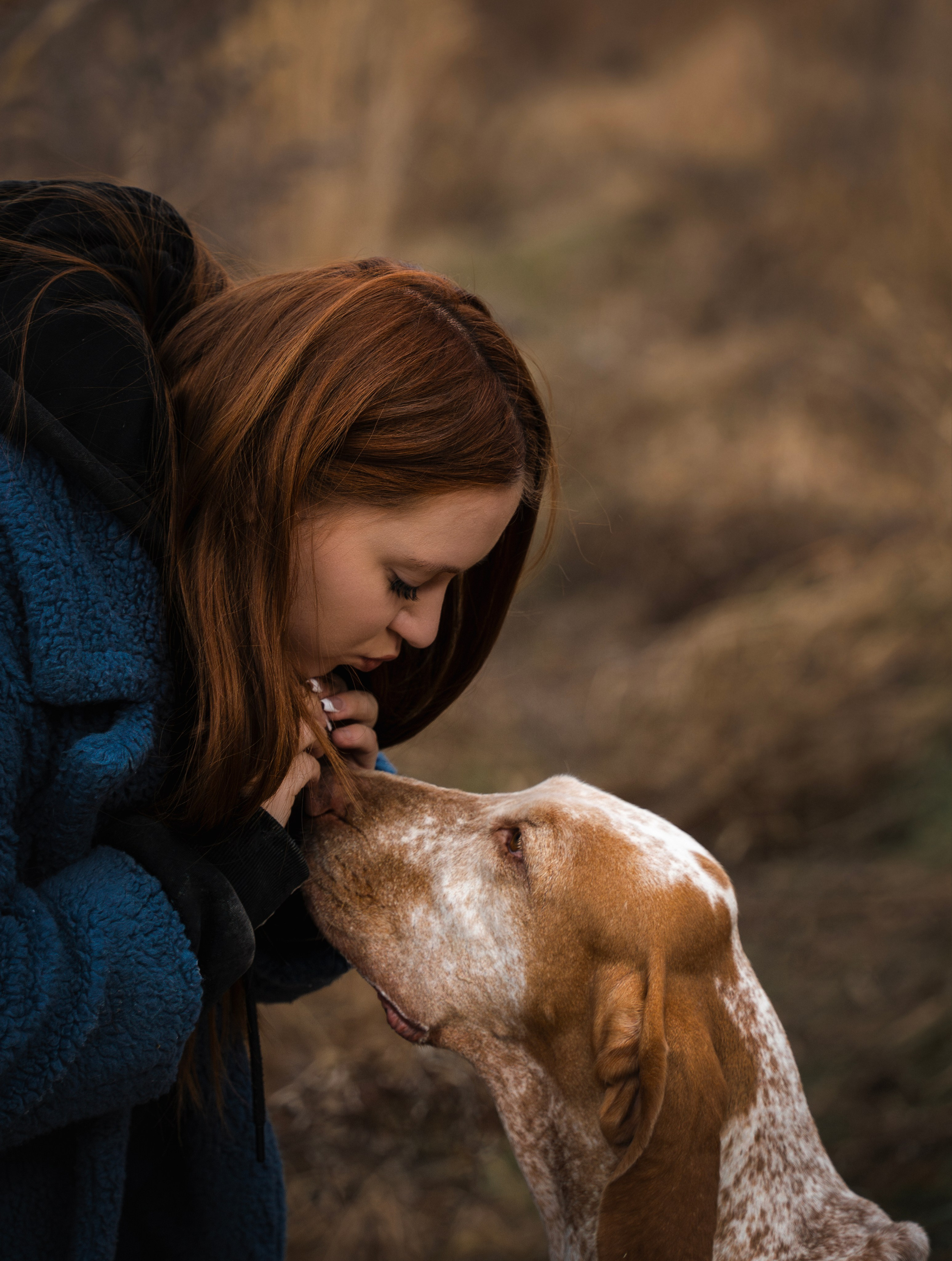 Итальянский бракк Стеша и Любомир. Семейный фотограф анималист г. Находка