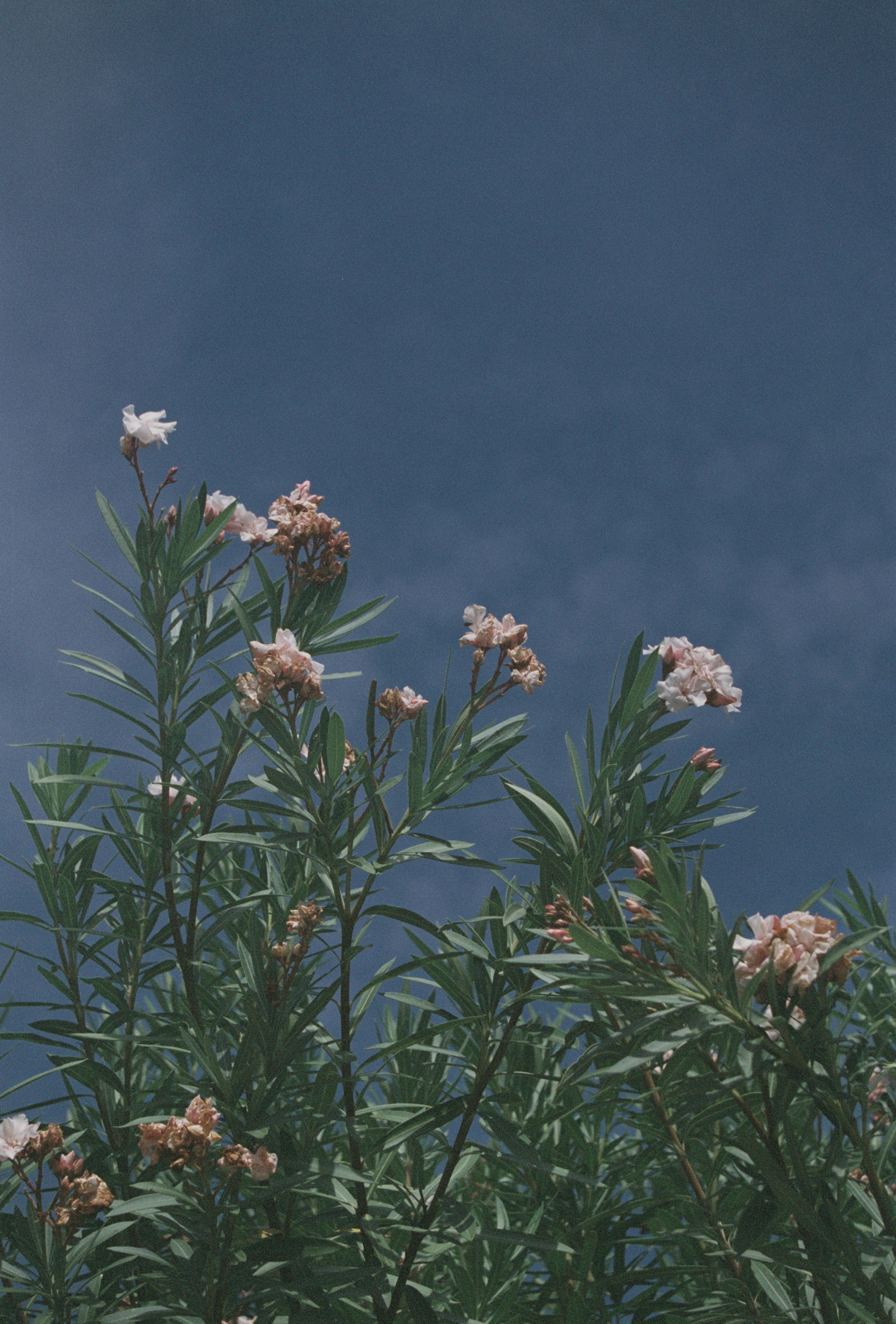 MALDIVES&BAHRAIN. ANNA — PHOTOGRAPHER