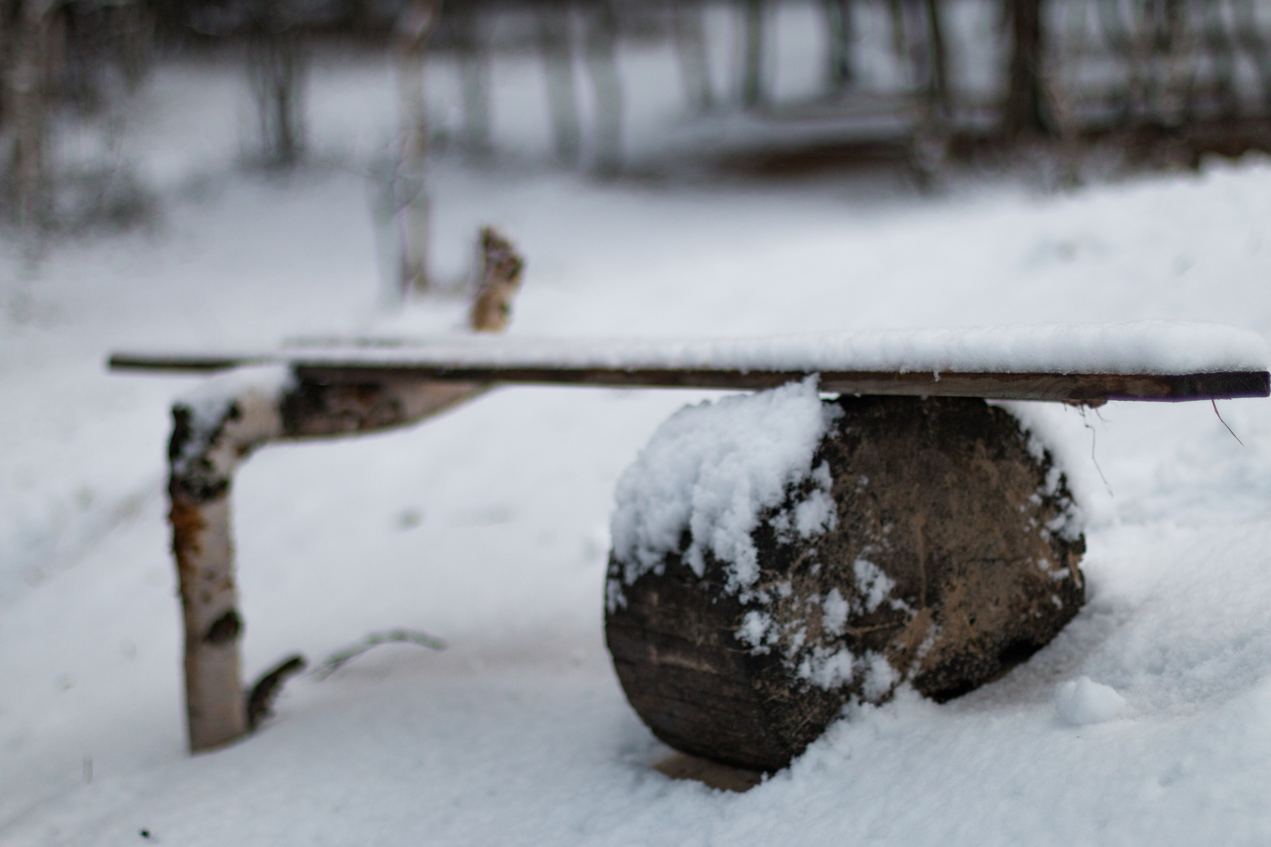 Русский север, Белое море, Архангельск. Фотограф в Сочи
