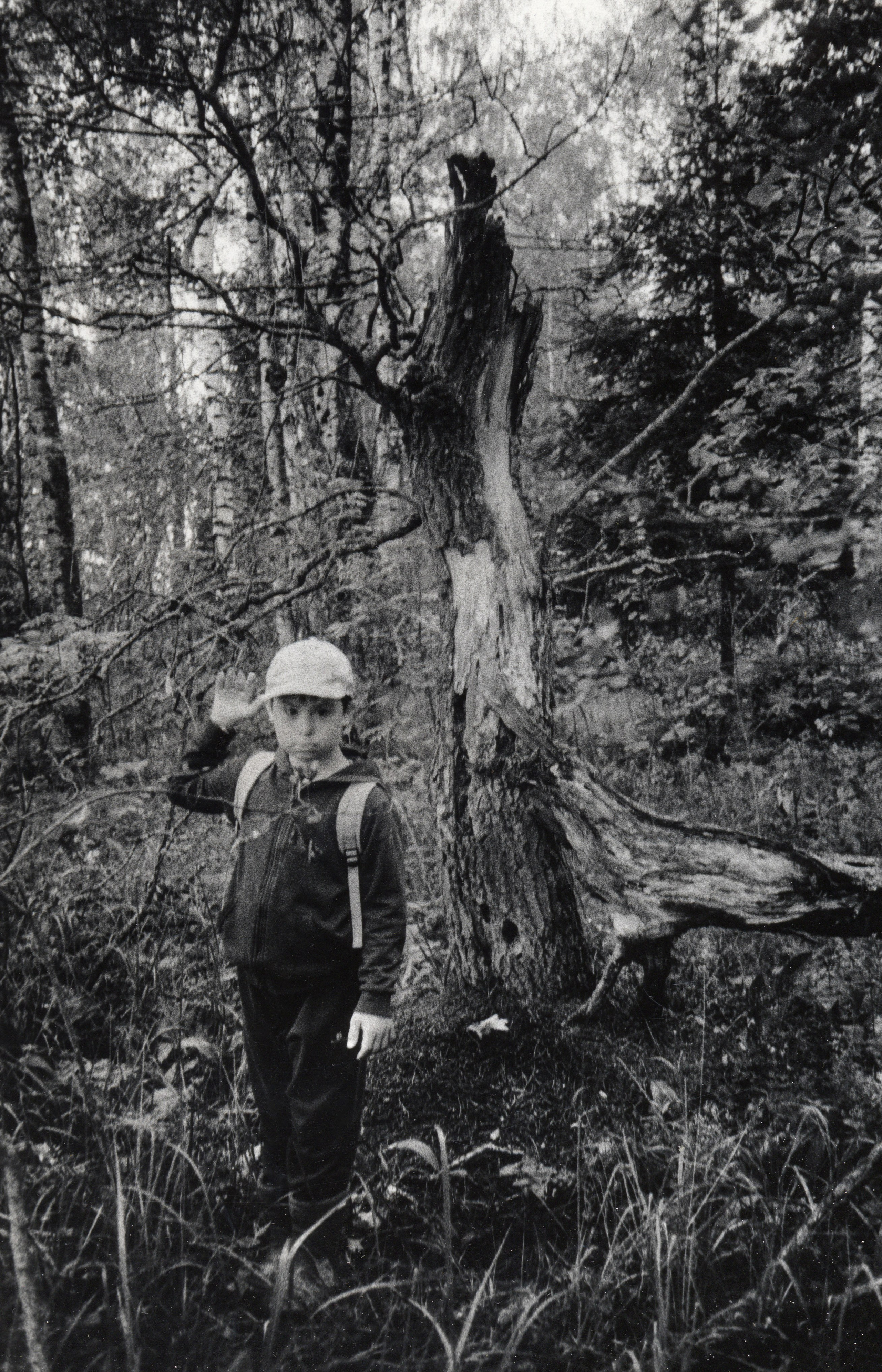 Prints. Maria Abdullaeva