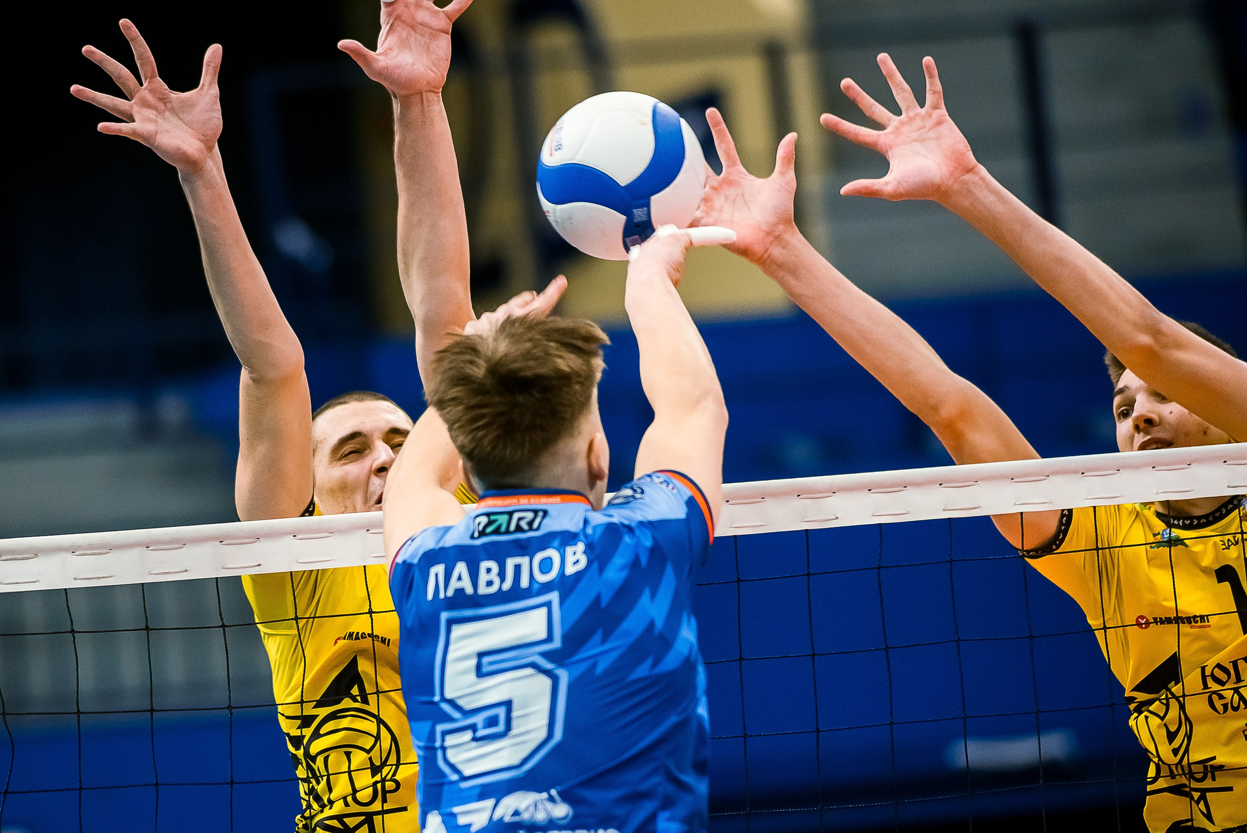 Волейбол — Молодежная Лига — 7ой тур. Репортажный фотограф в Кемерово