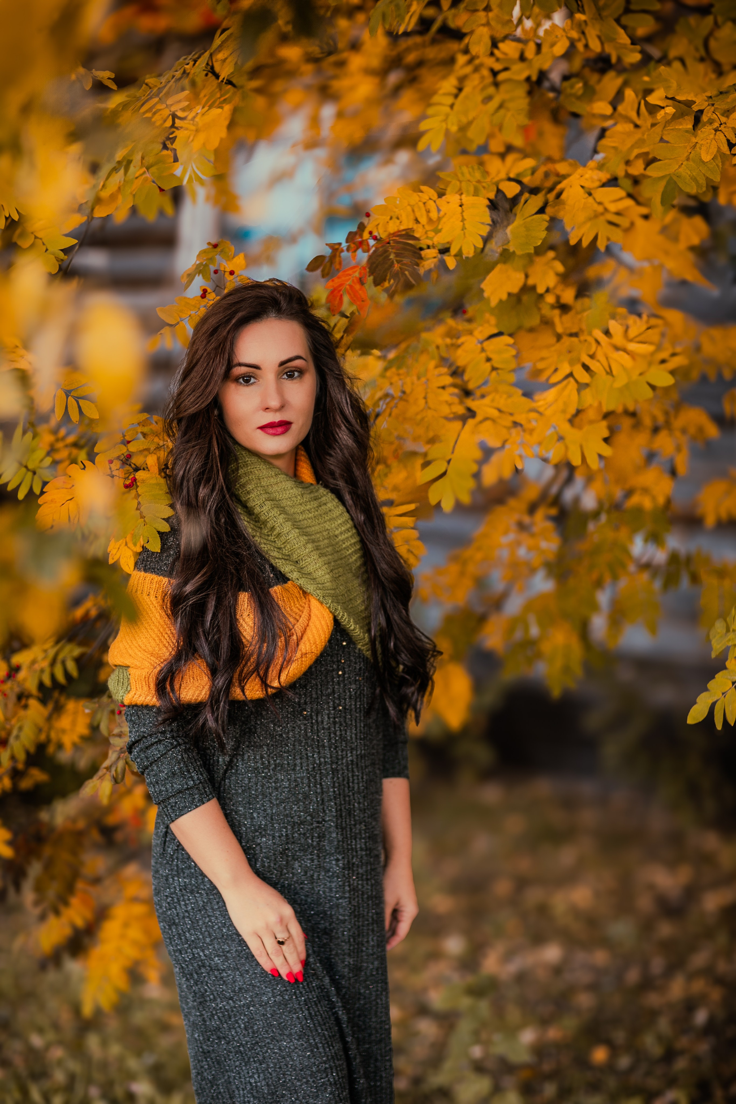 Багрец и золото. Фотограф Елена Вишневская (Ушакова) Нефтеюганск, Сургут, Тюмень