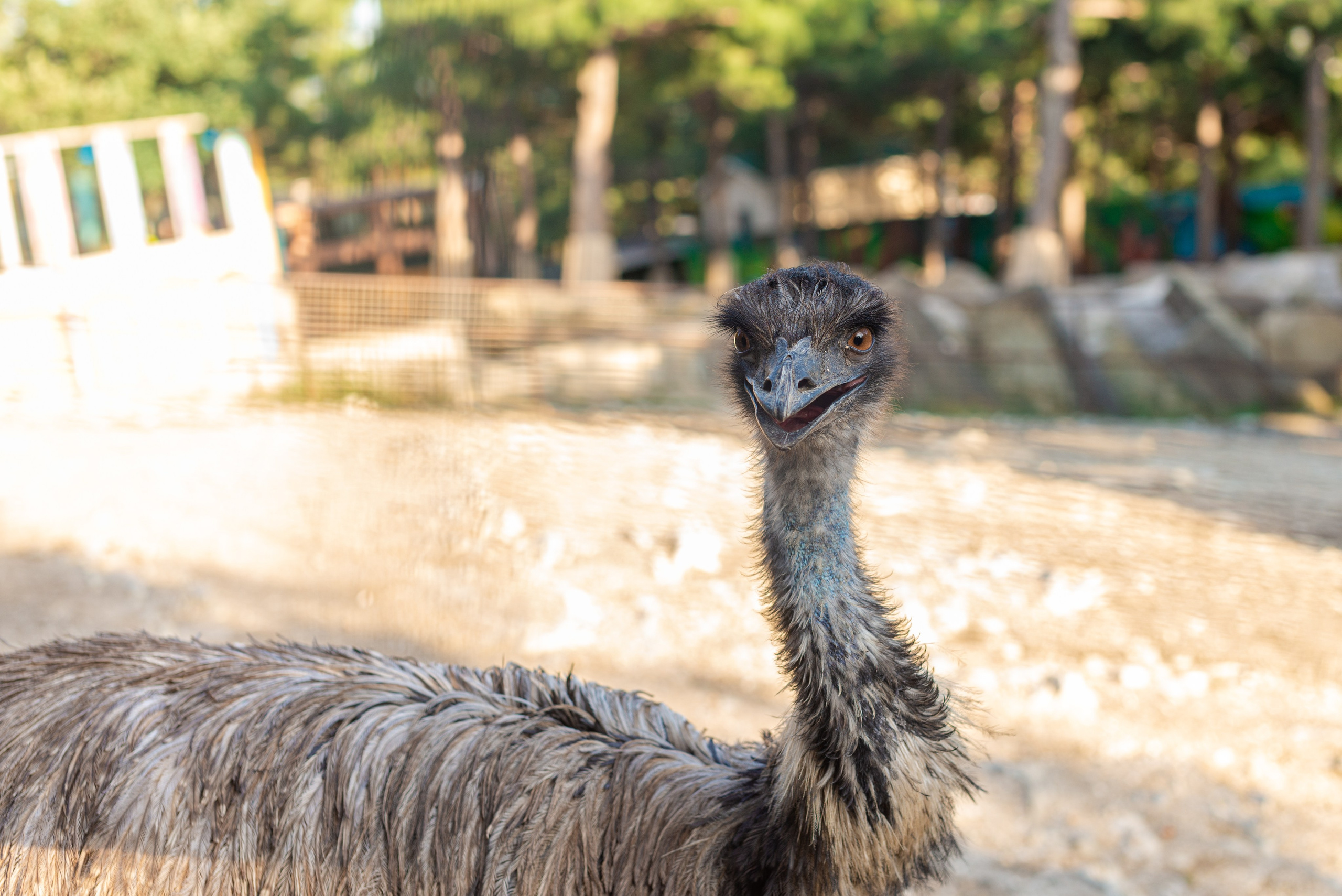 Июнь–Июль Отпуск Белореченск, Геленджик. Семейный, Свадебный фотограф СПБ Питер— Романова Екатерина