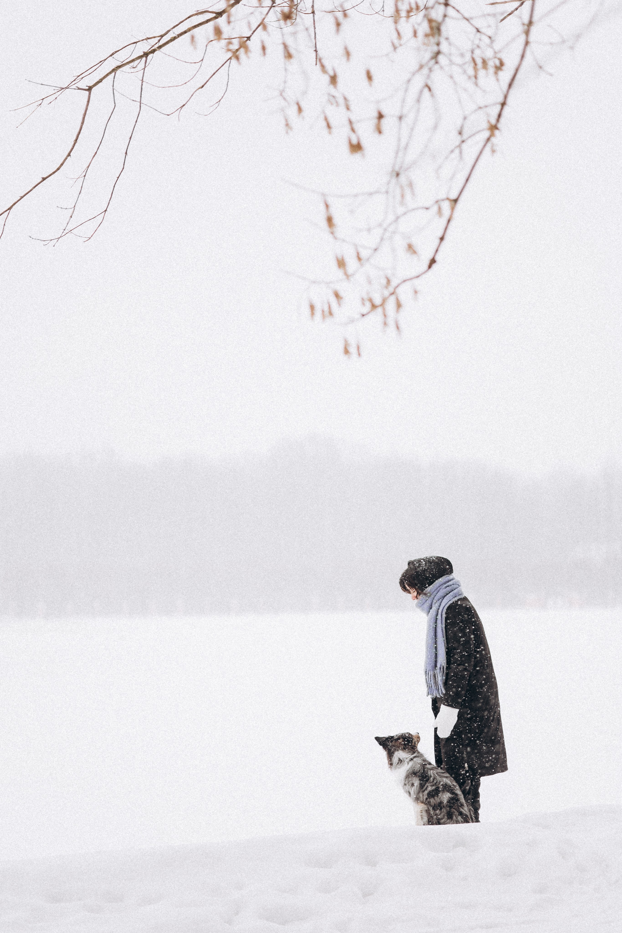 Настя и Тор. Фотораф — анималист Мария Шистка