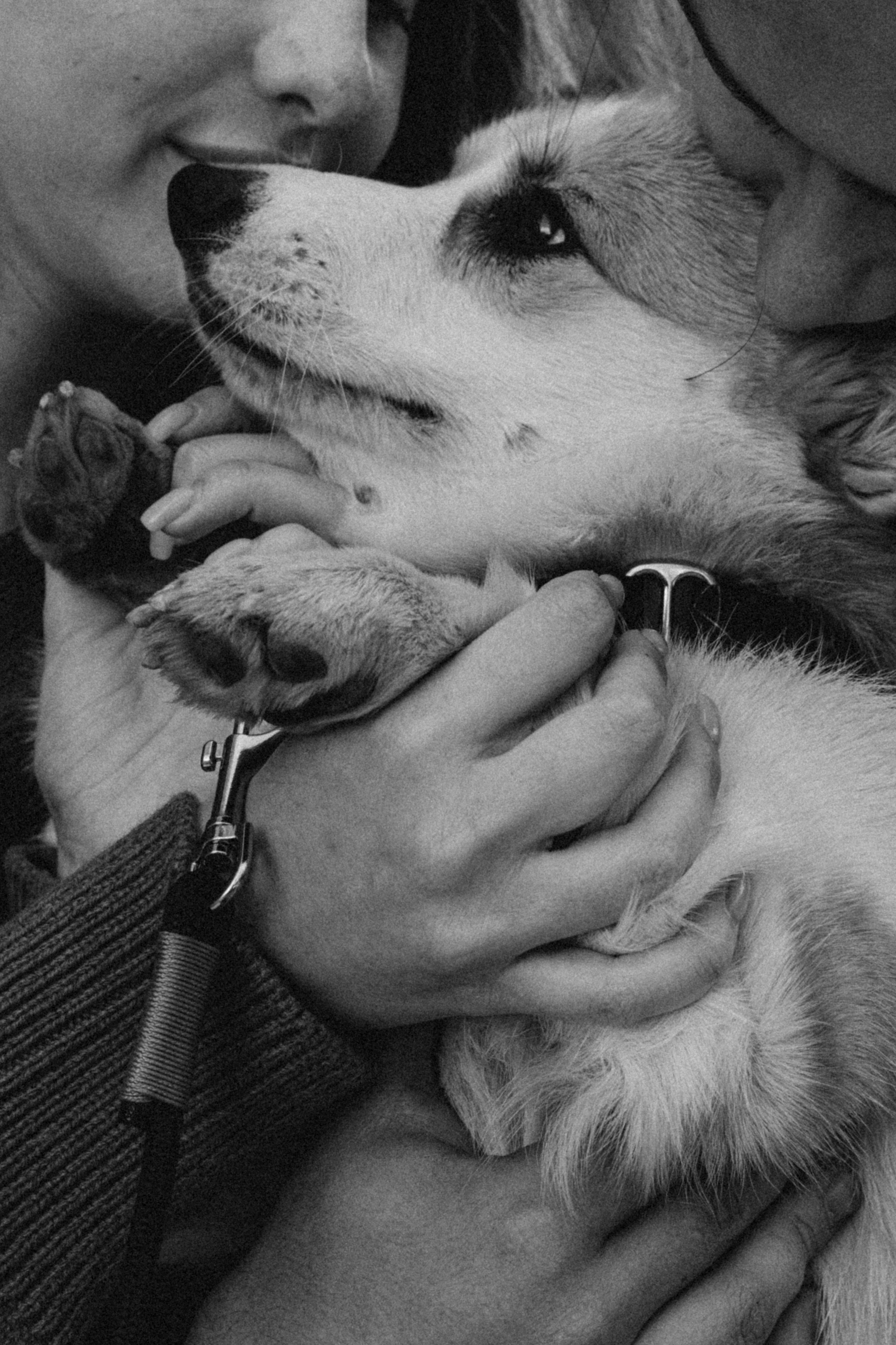 Даша, Рома и Лесли. Фотораф — анималист Мария Шистка