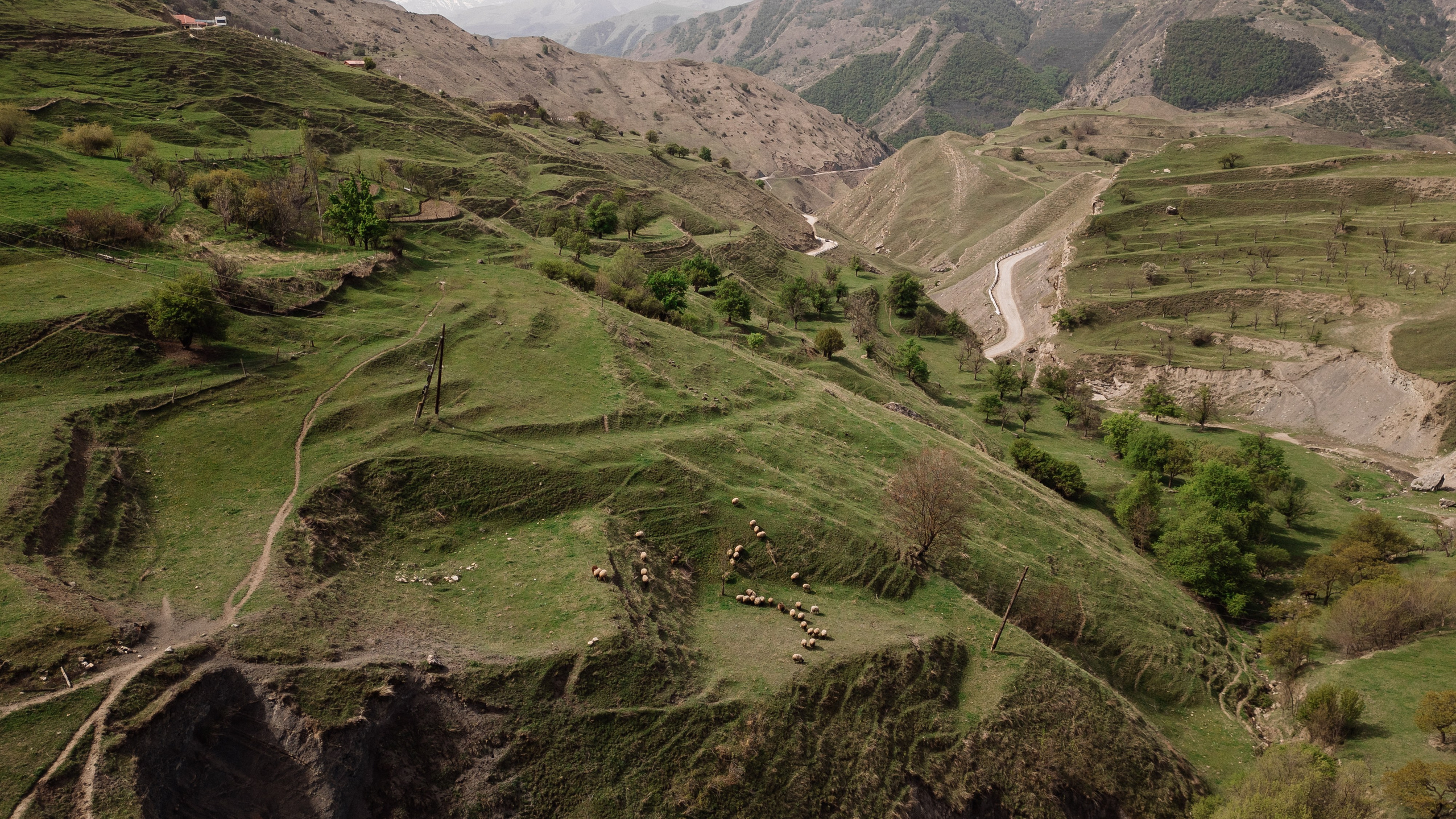 Семейный свадебный фотограф Семен Егоров