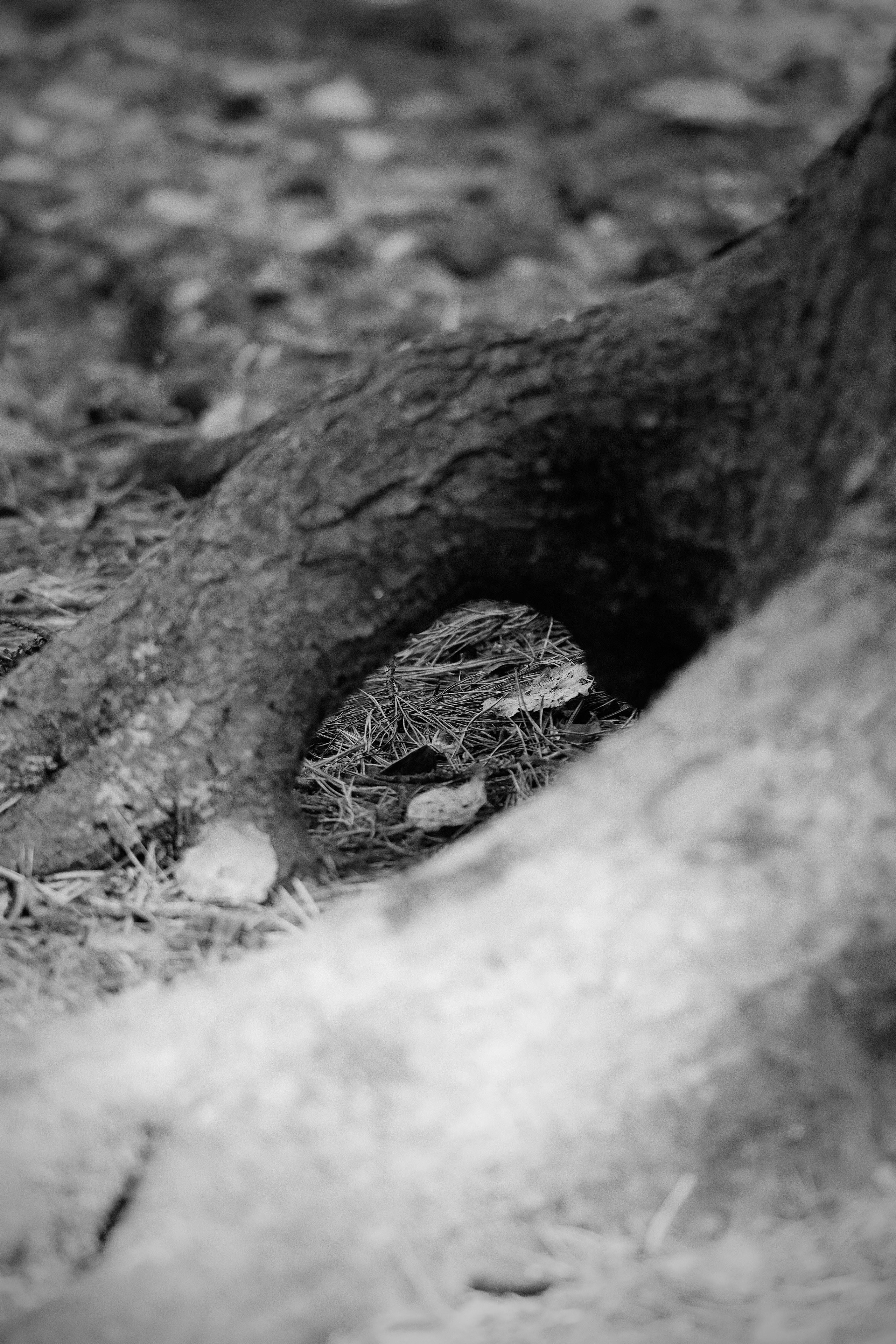 Пейзажи. Репортажный и семейный фотограф — Шелихов Сергей