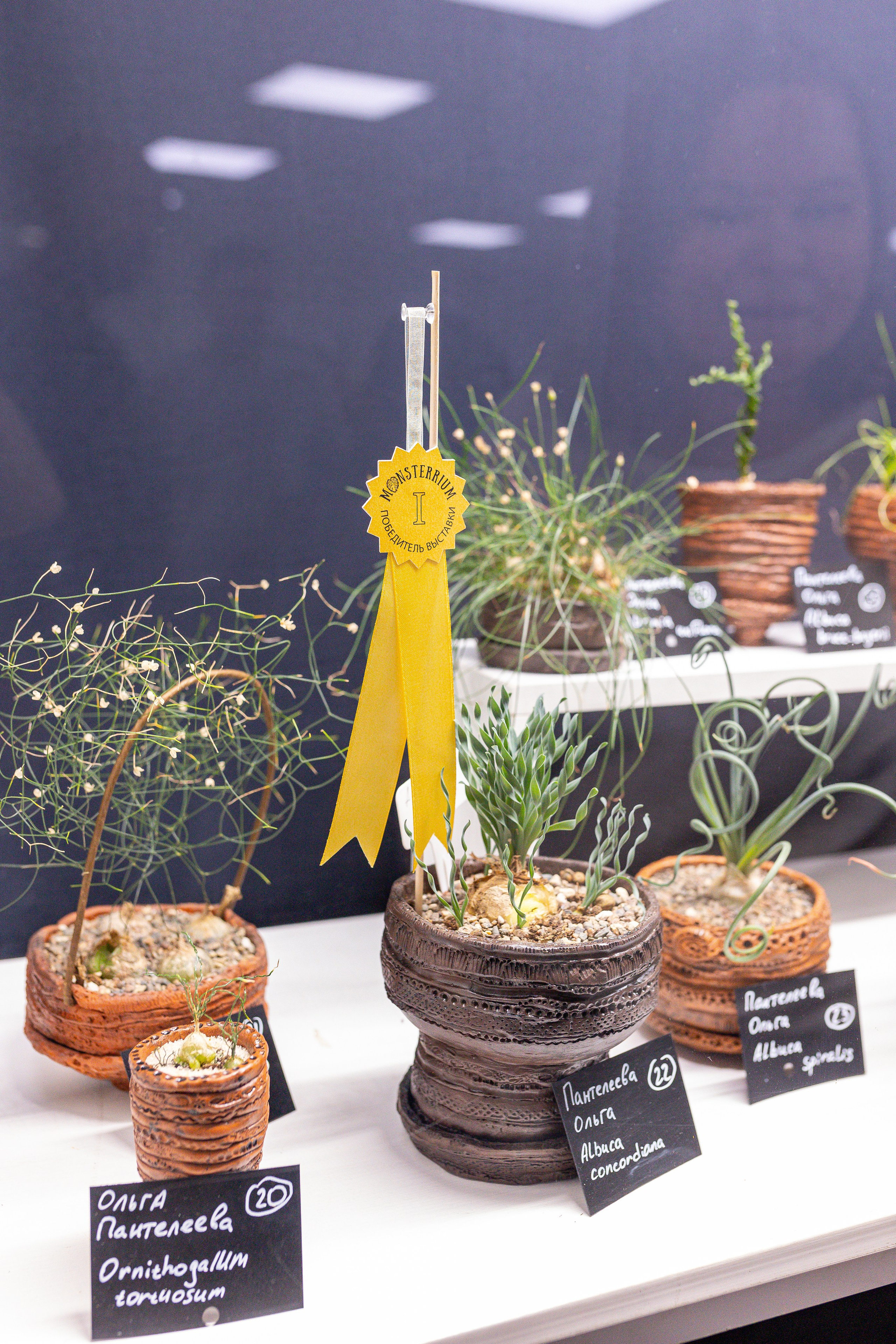 Монстериум 11–12 октября. Александра Куликова фотограф, Москва