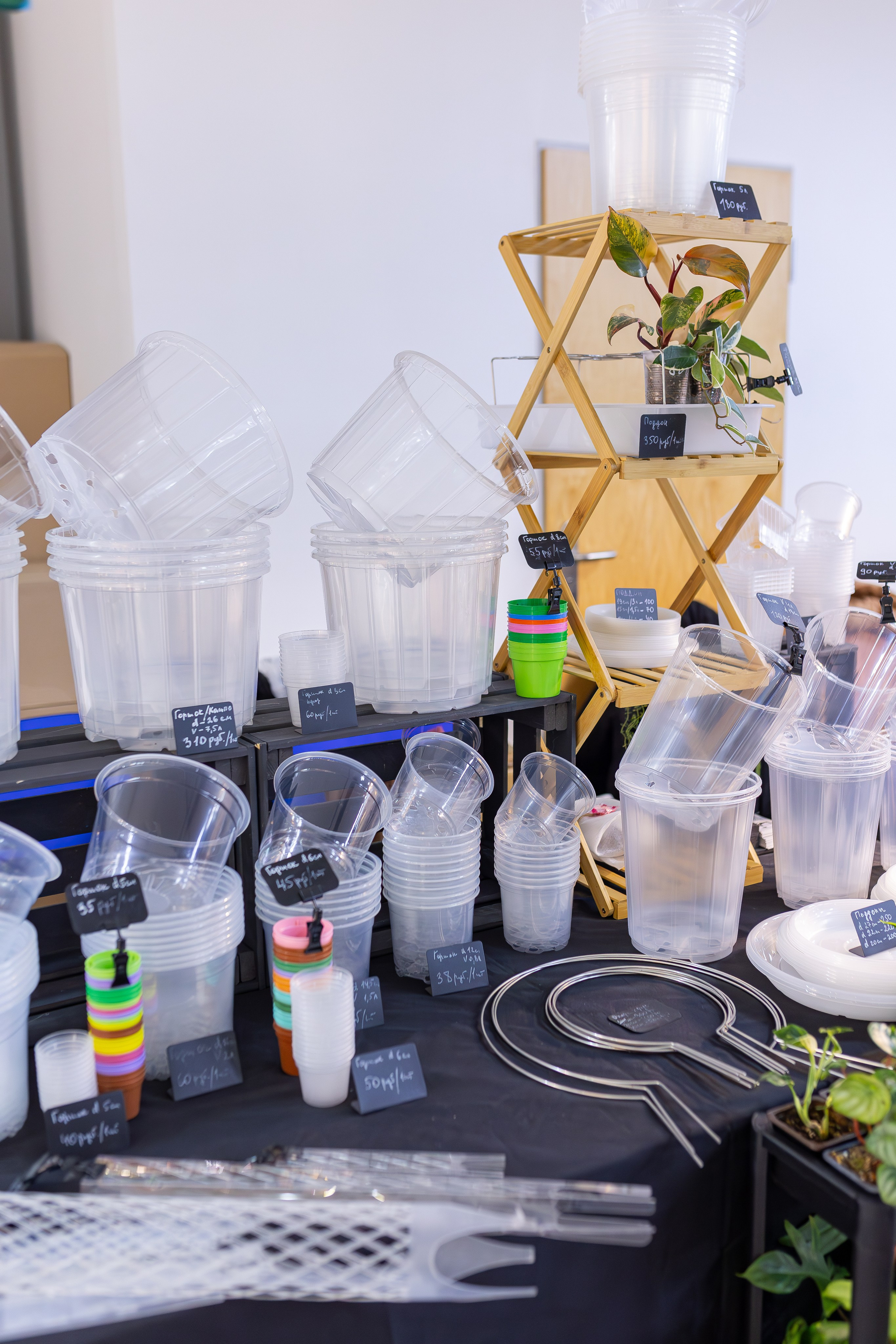 Орхидиум 12.2025. Александра Куликова фотограф, Москва