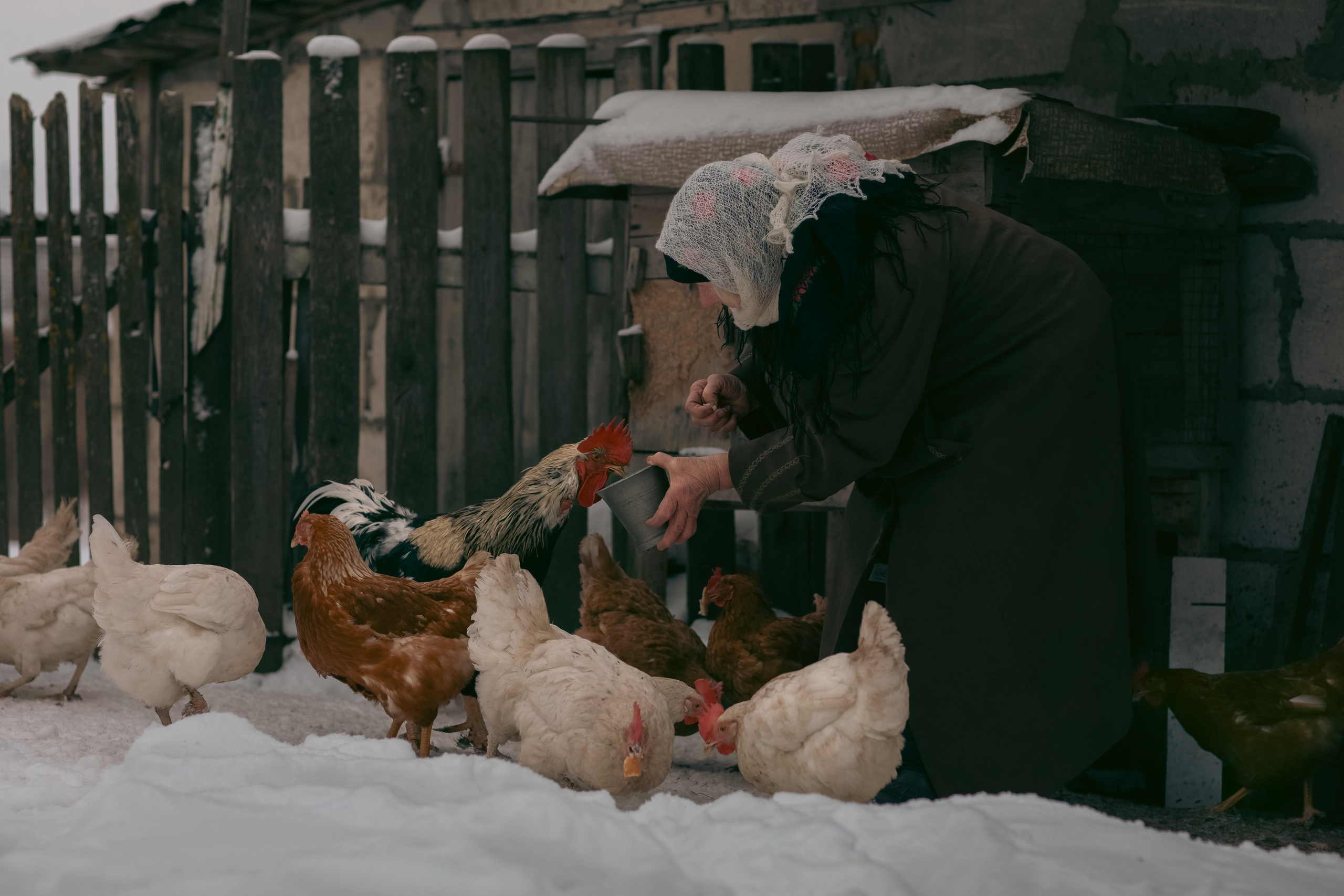 В деревне. Фотограф Минск Юлия Войнич