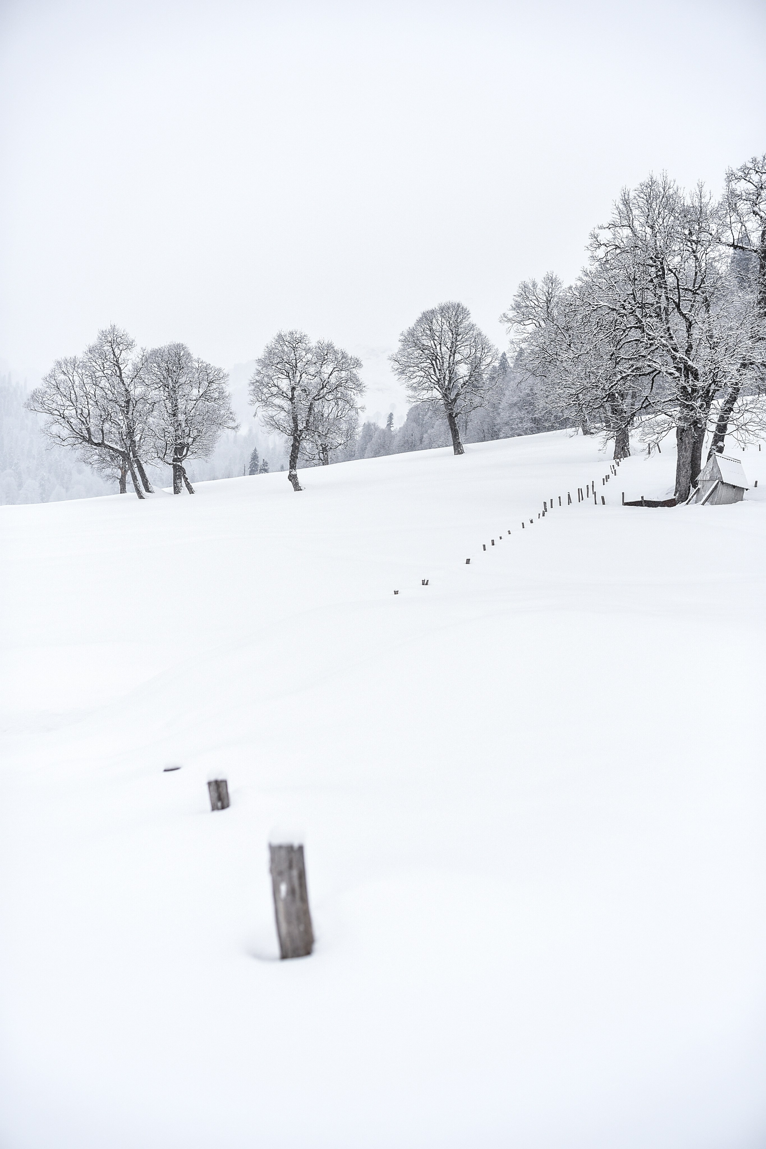 4 seasons. Anastasia Serdyuk, travel photographer, travel photo, portraits, stories, fineart prints