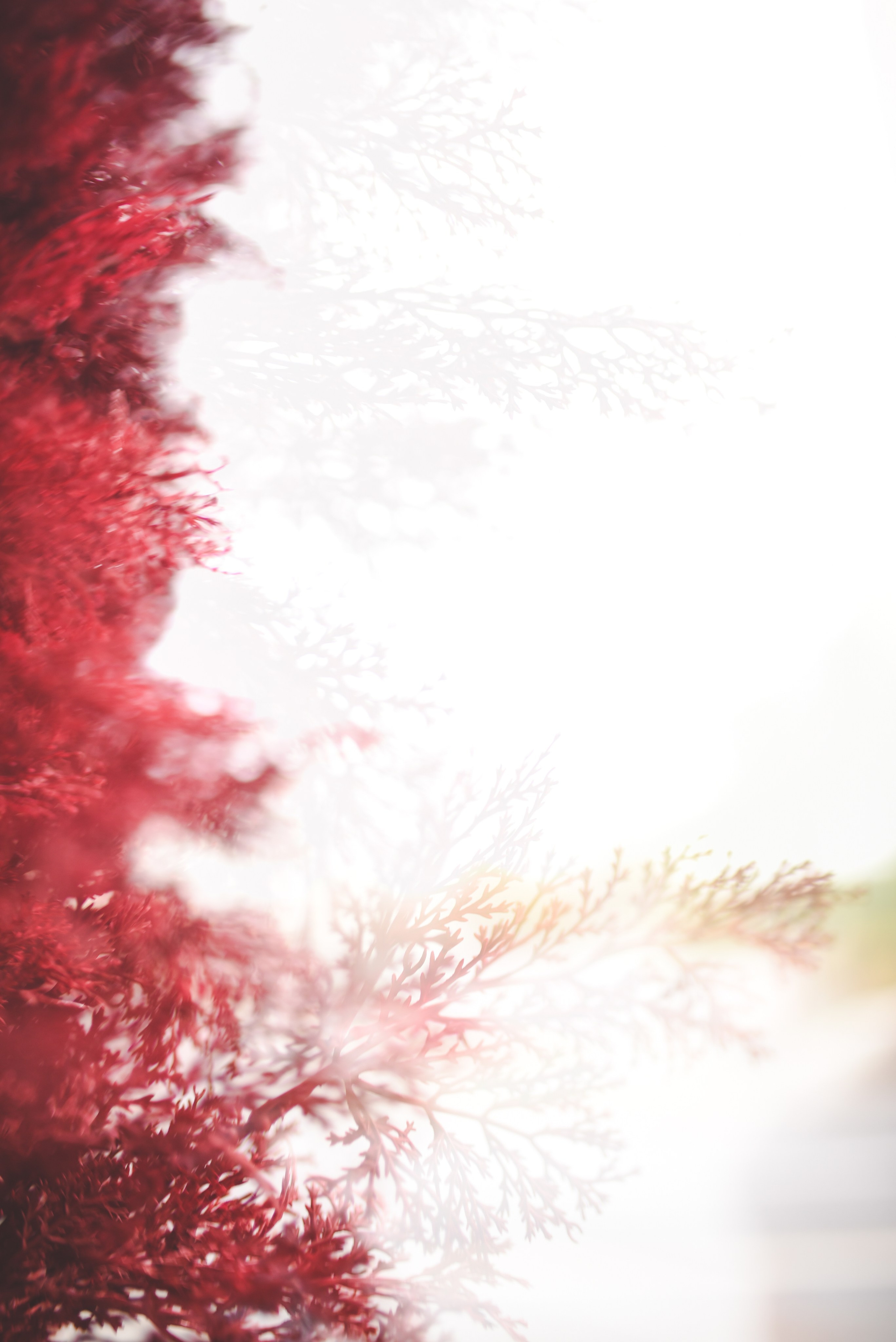 Nature. Anastasia Serdyuk, travel photographer, travel photo, portraits, stories, fineart prints