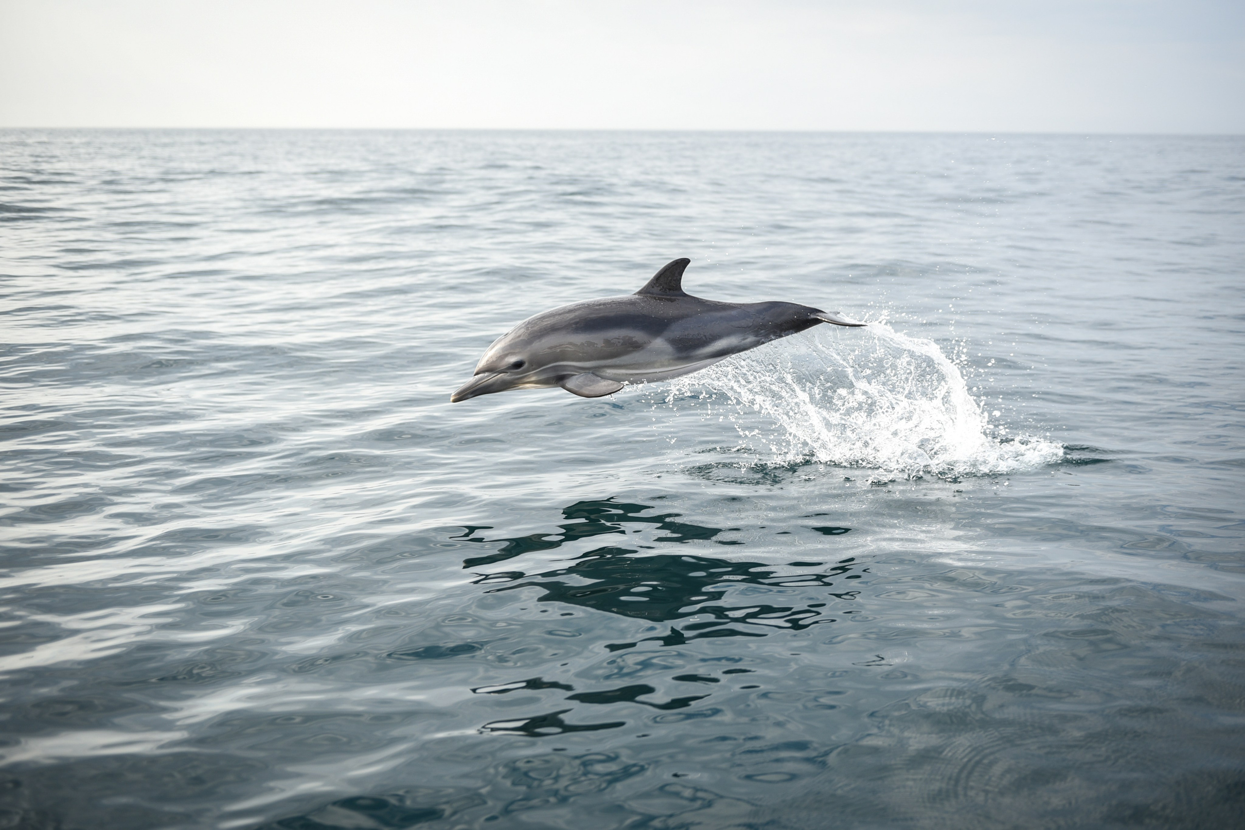 Wild and free. Anastasia Serdyuk, travel photographer, travel photo, portraits, stories, fineart prints