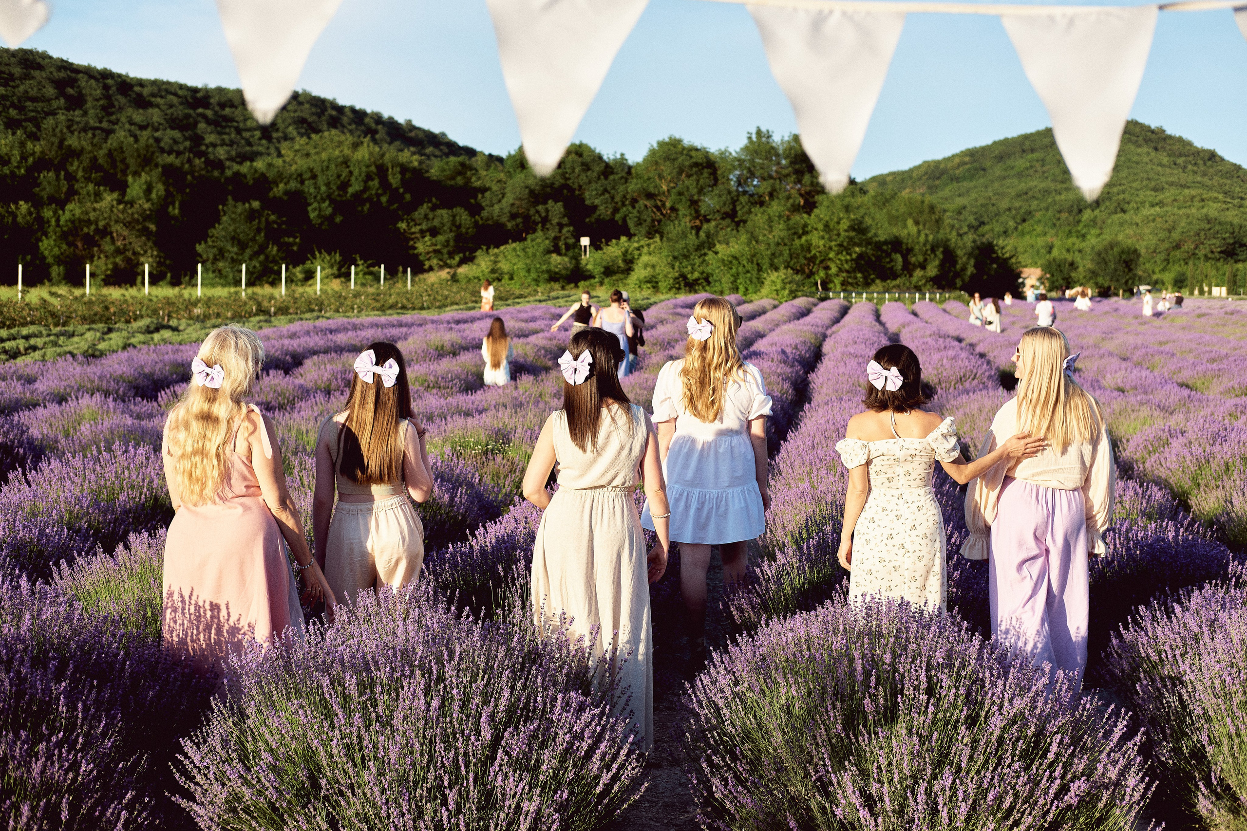 Maison Des Plantes Aromatiques. Фотограф в Анапе и Краснодаре Тина