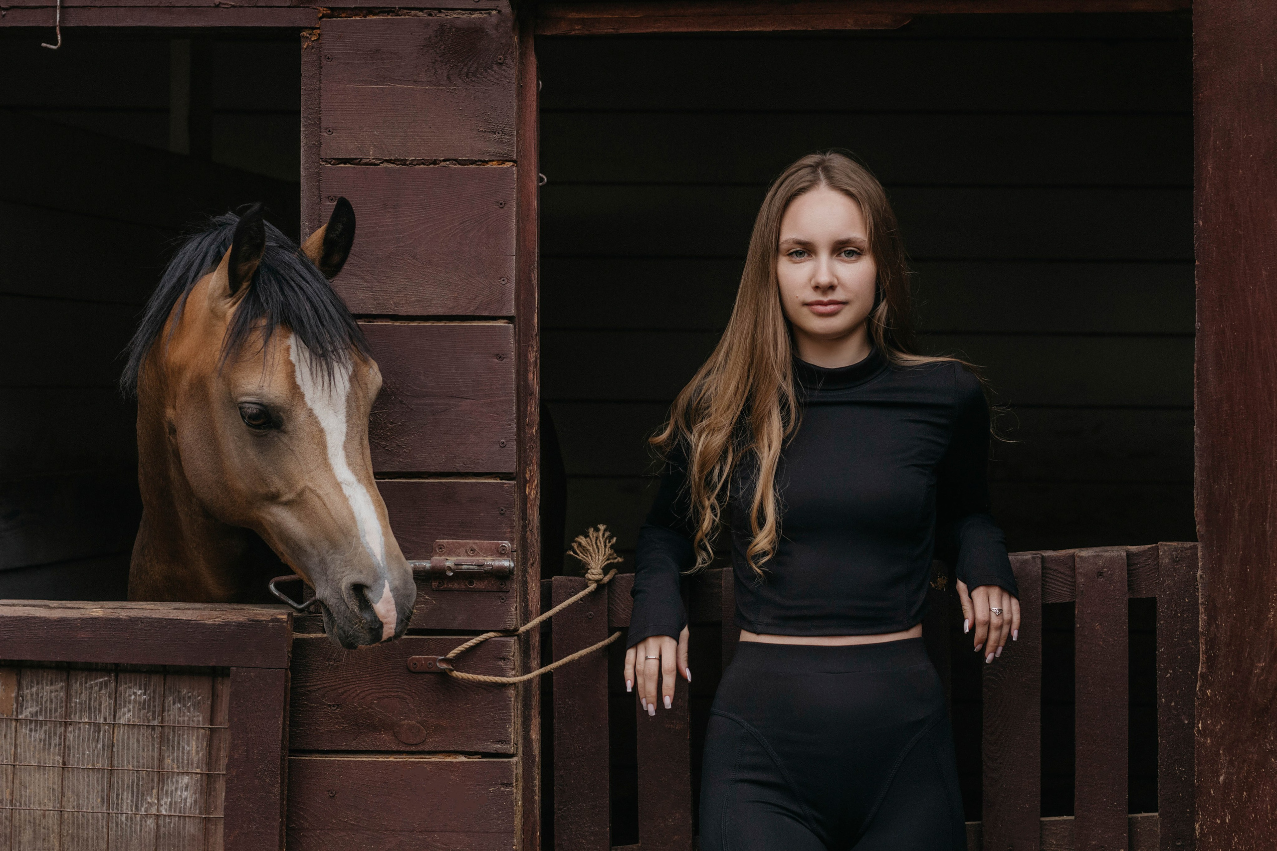 Конная фотосессия. Фотограф Новосибирск Алина Клименкова