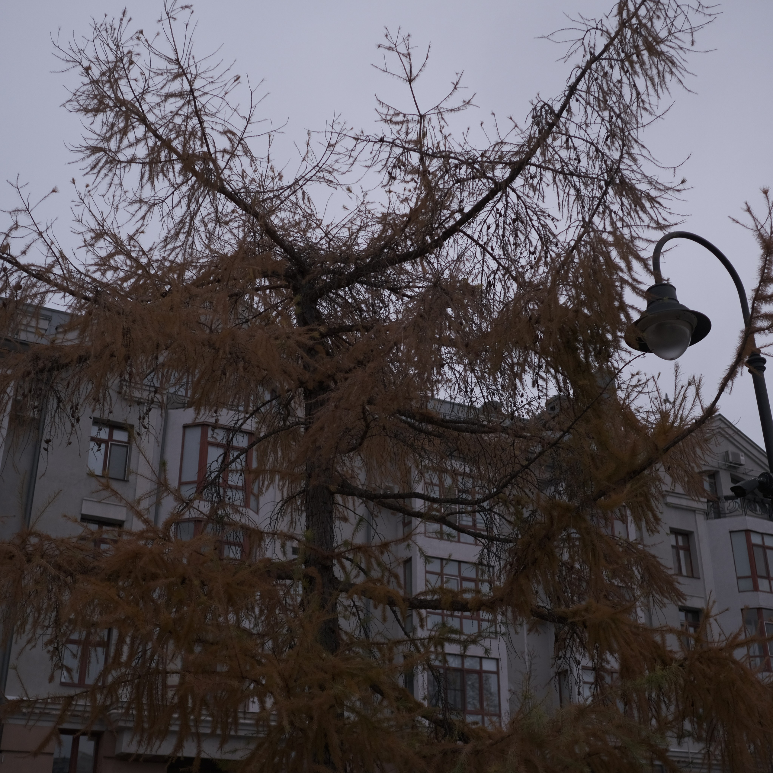 Казань. LIYALEE PHOTO