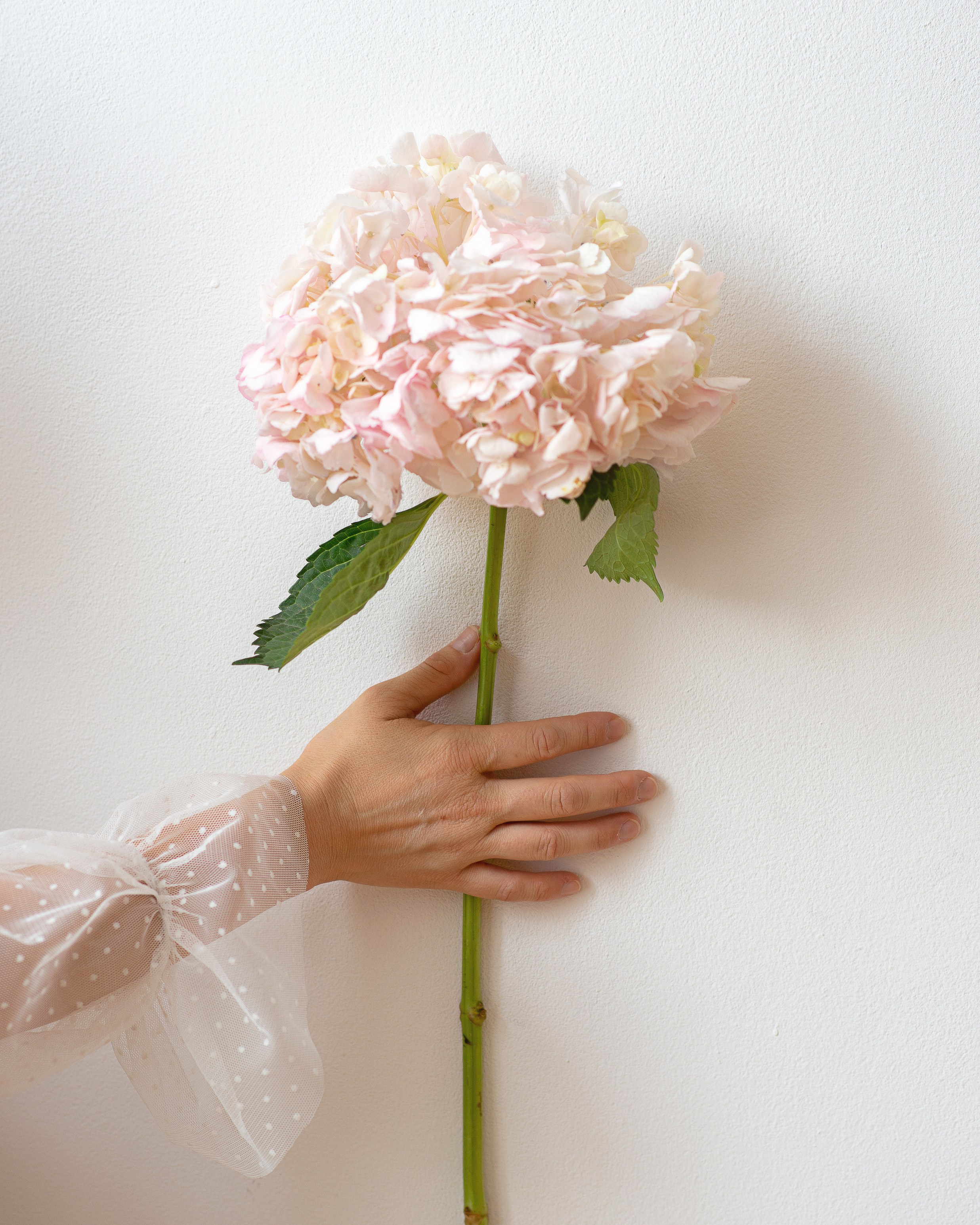 Студийные портреты. Фотограф в Казани Надежда Вальшина. Свадебные, семейные, детские, индивидуальные фотосессии