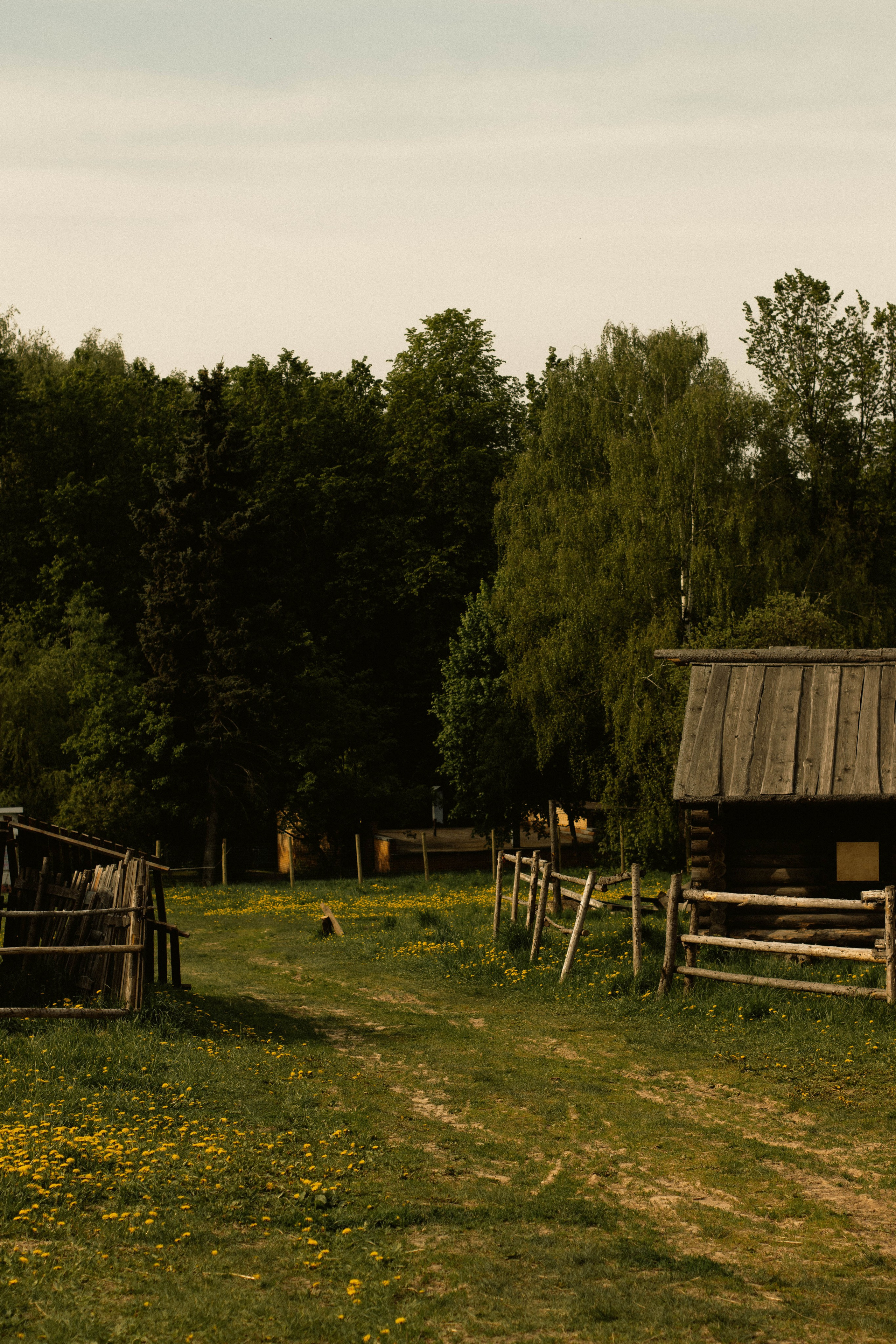 К/Ф «Надежда». Фотограф в Москве Ксюшенька