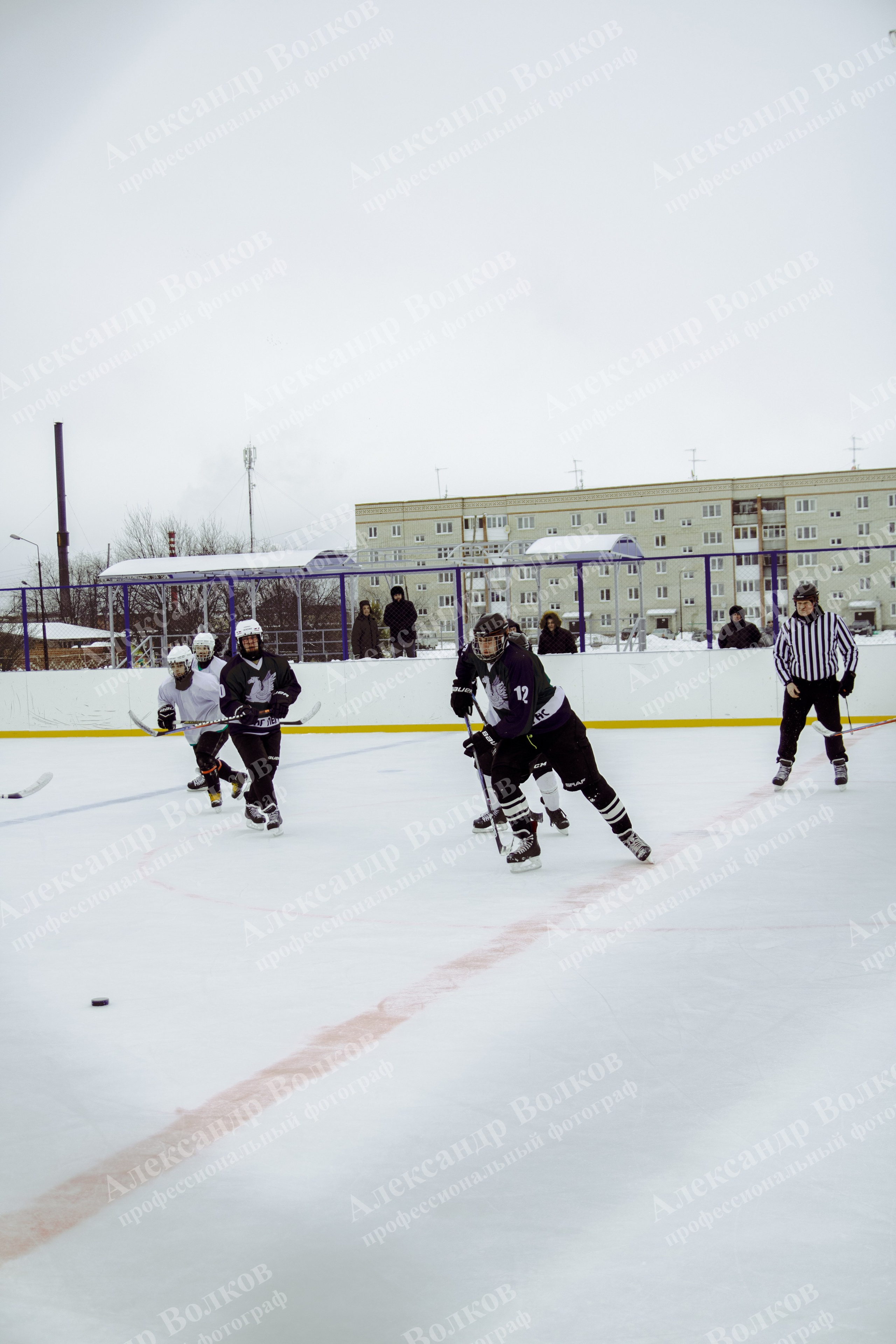 Хоккей 29.12.2024