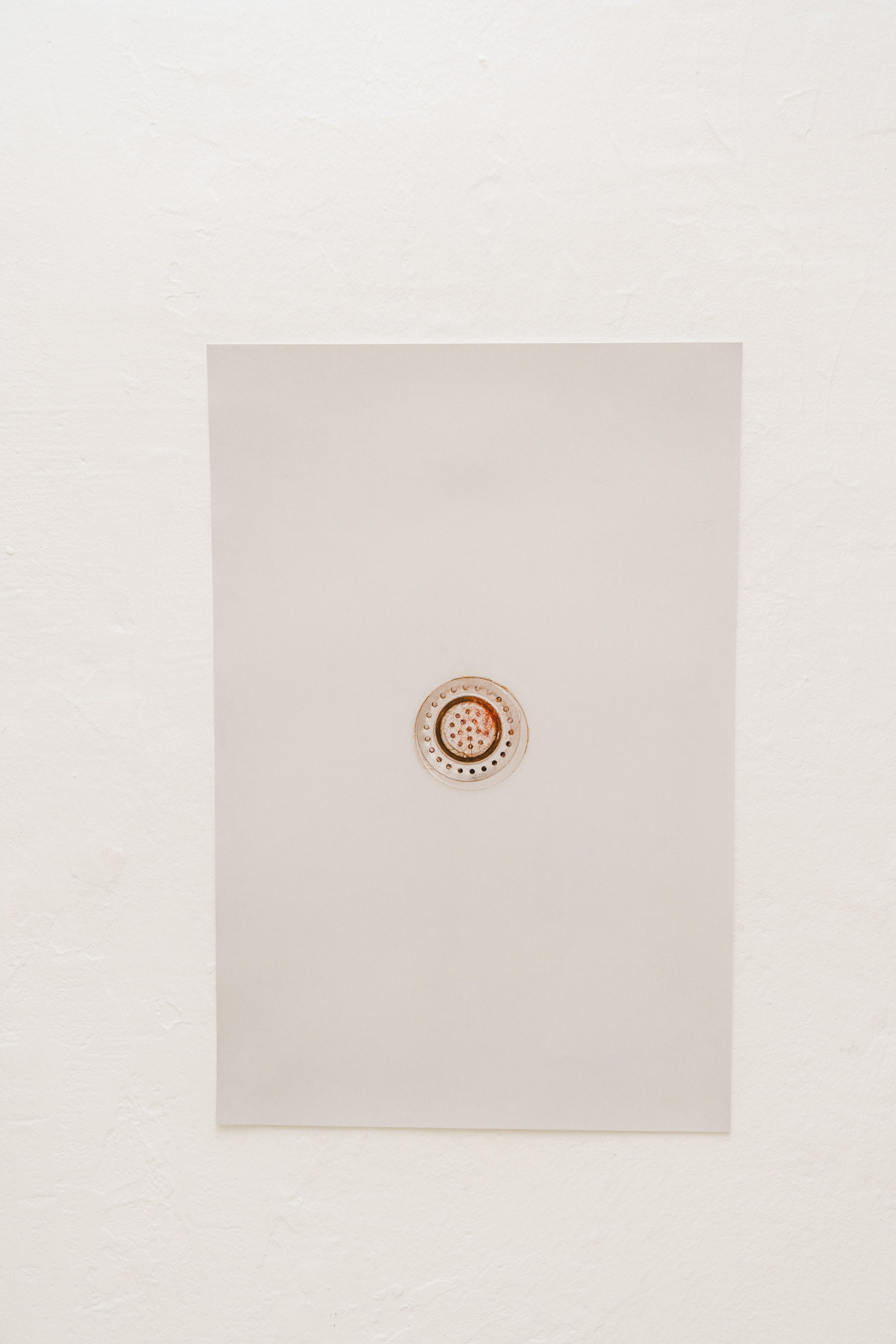 Эффект присутствия. Козлова Екатерина. Междисциплинарная визуальная художница