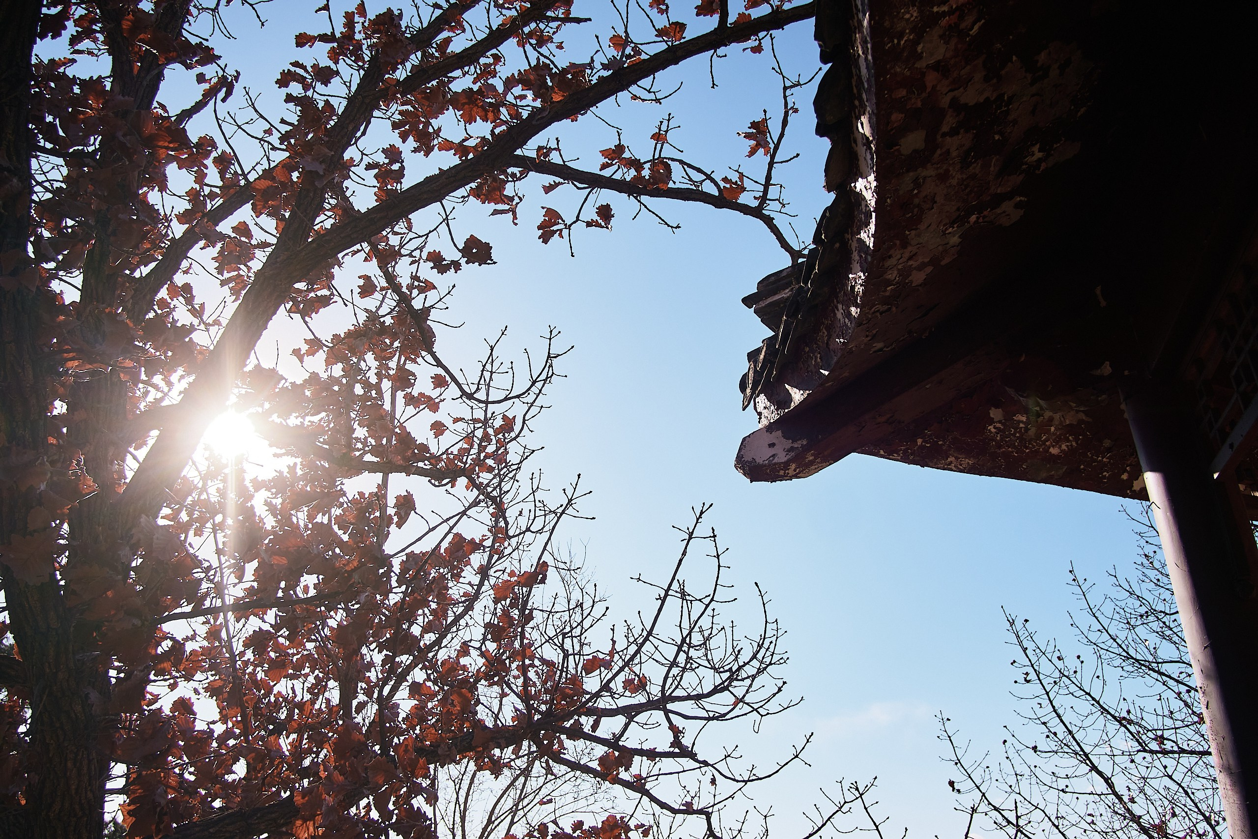 Архитекторы.РФ. Фотограф Артем Дербенев Москва