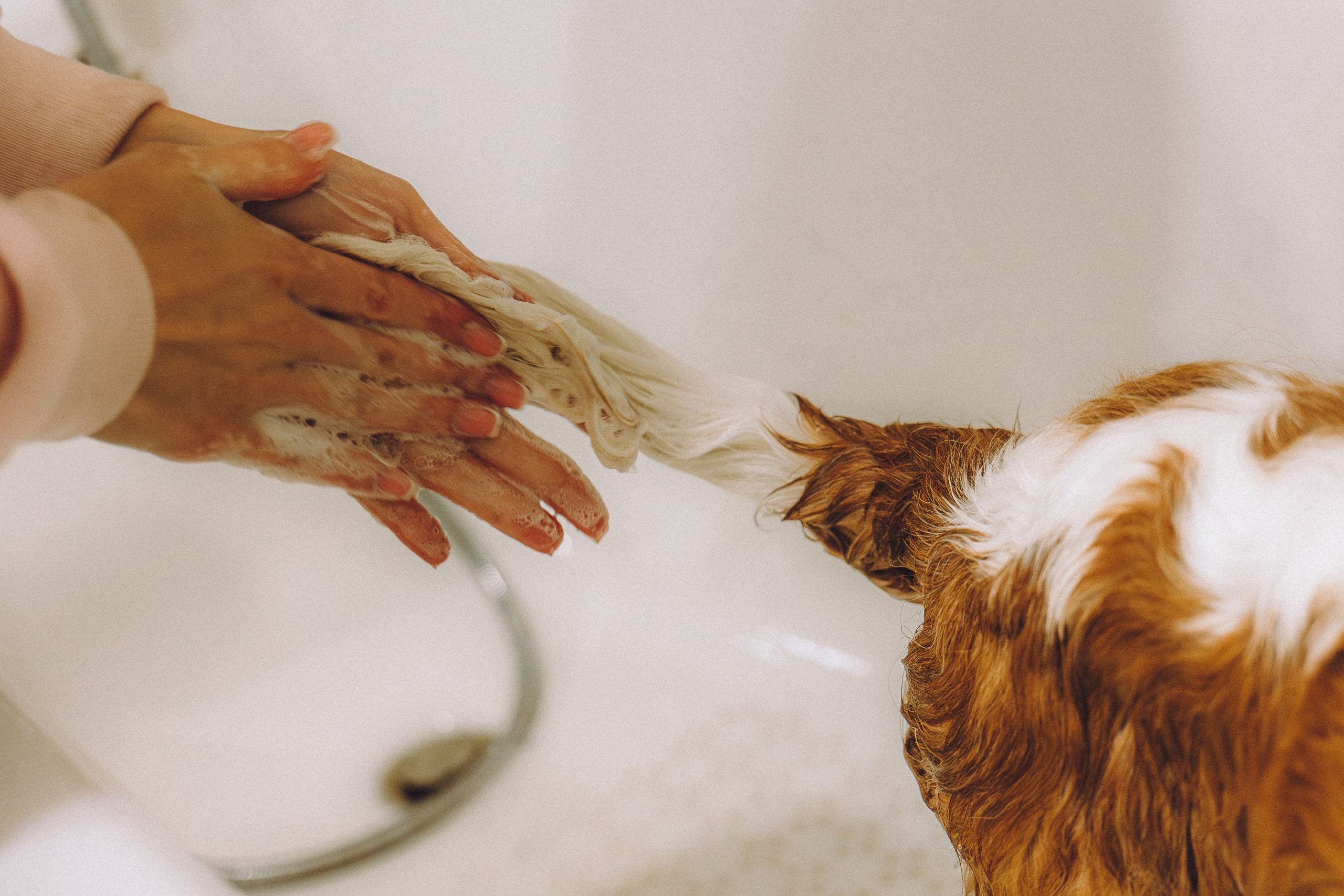 Наташа и Вики