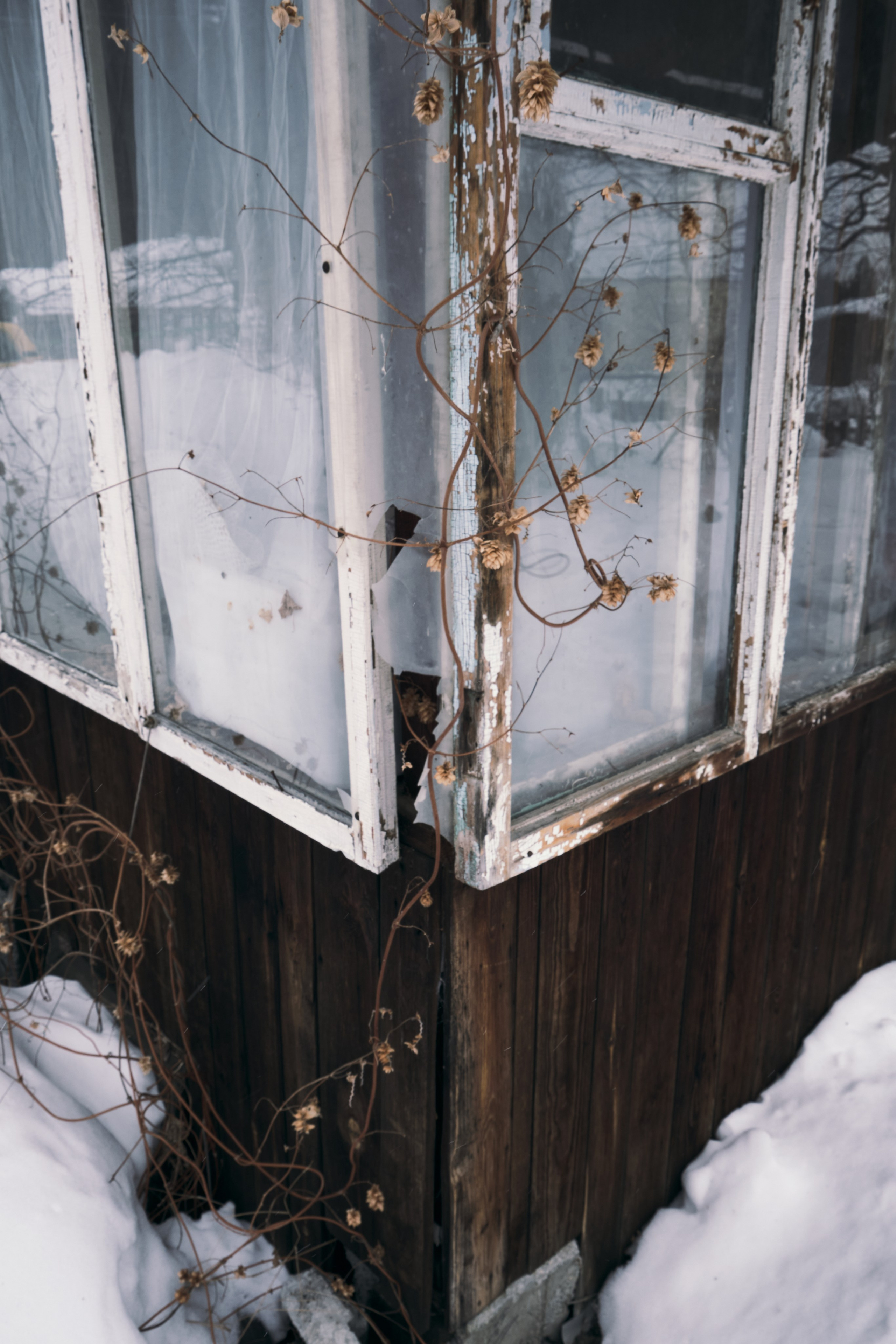 отпечаток для интерьеров купить у художников