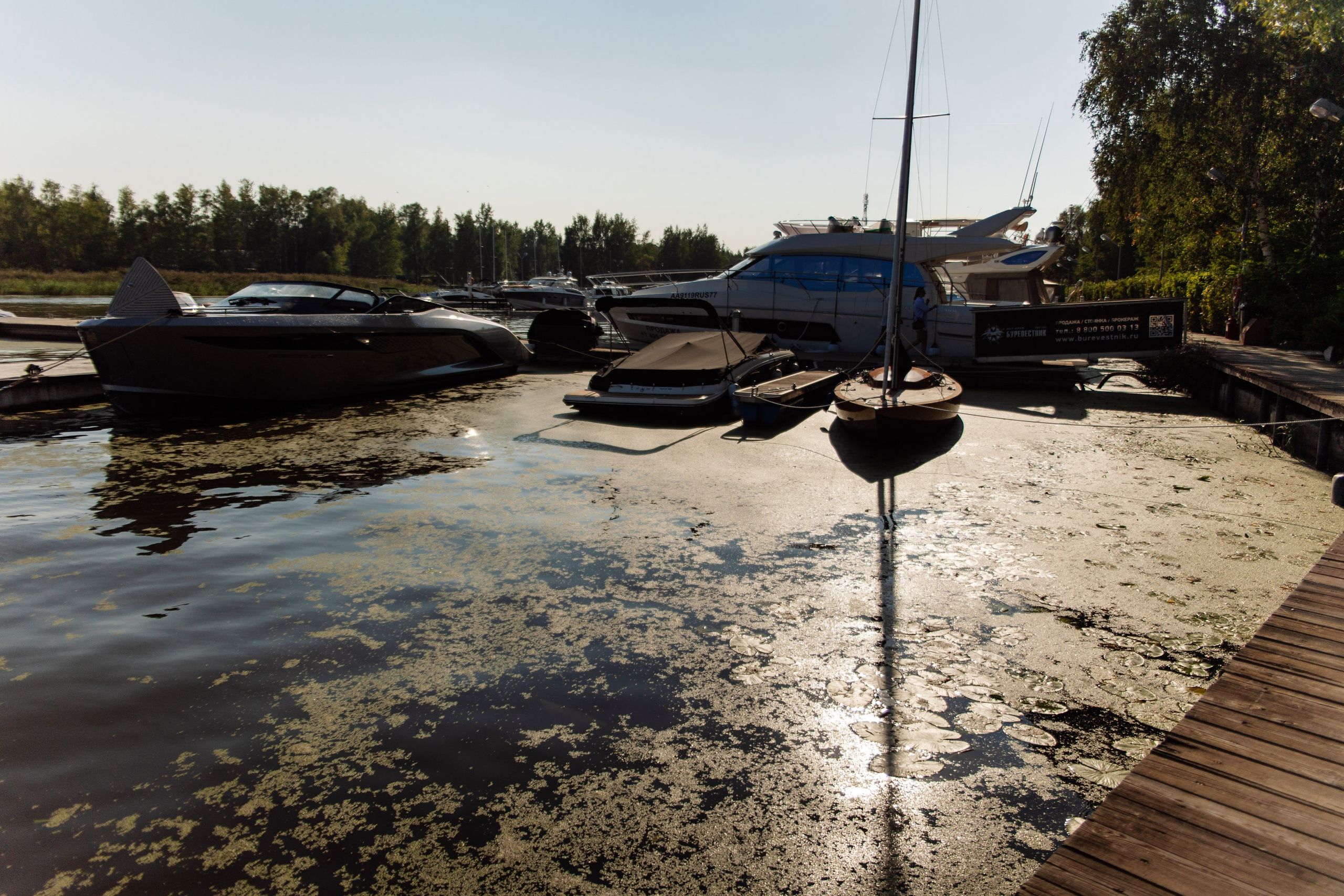 Корпоративный репортаж. Репортажный фотограф. Москва. Алина Ланская