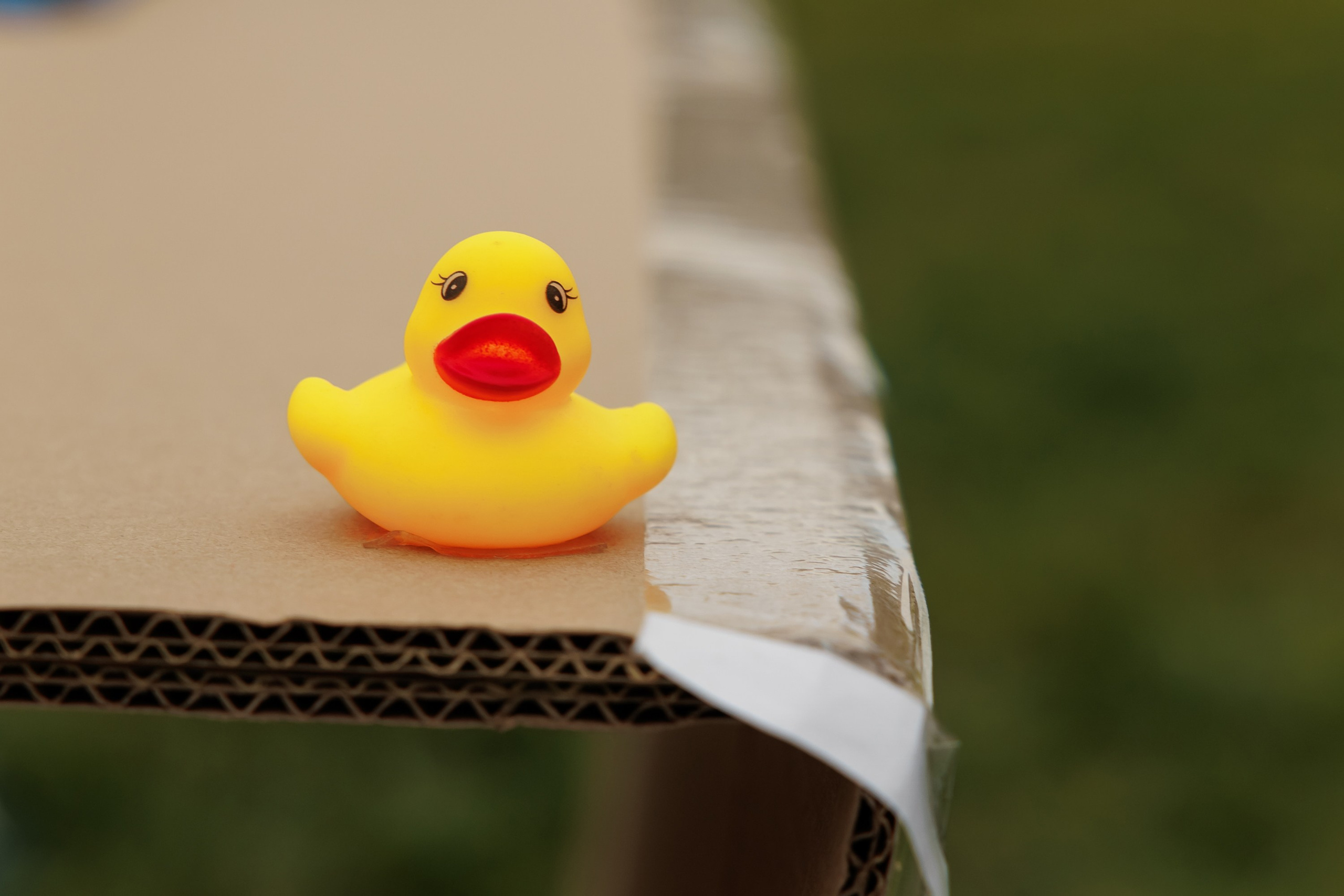 Тимбилдинг выезд. Репортажный фотограф. Москва. Алина Ланская