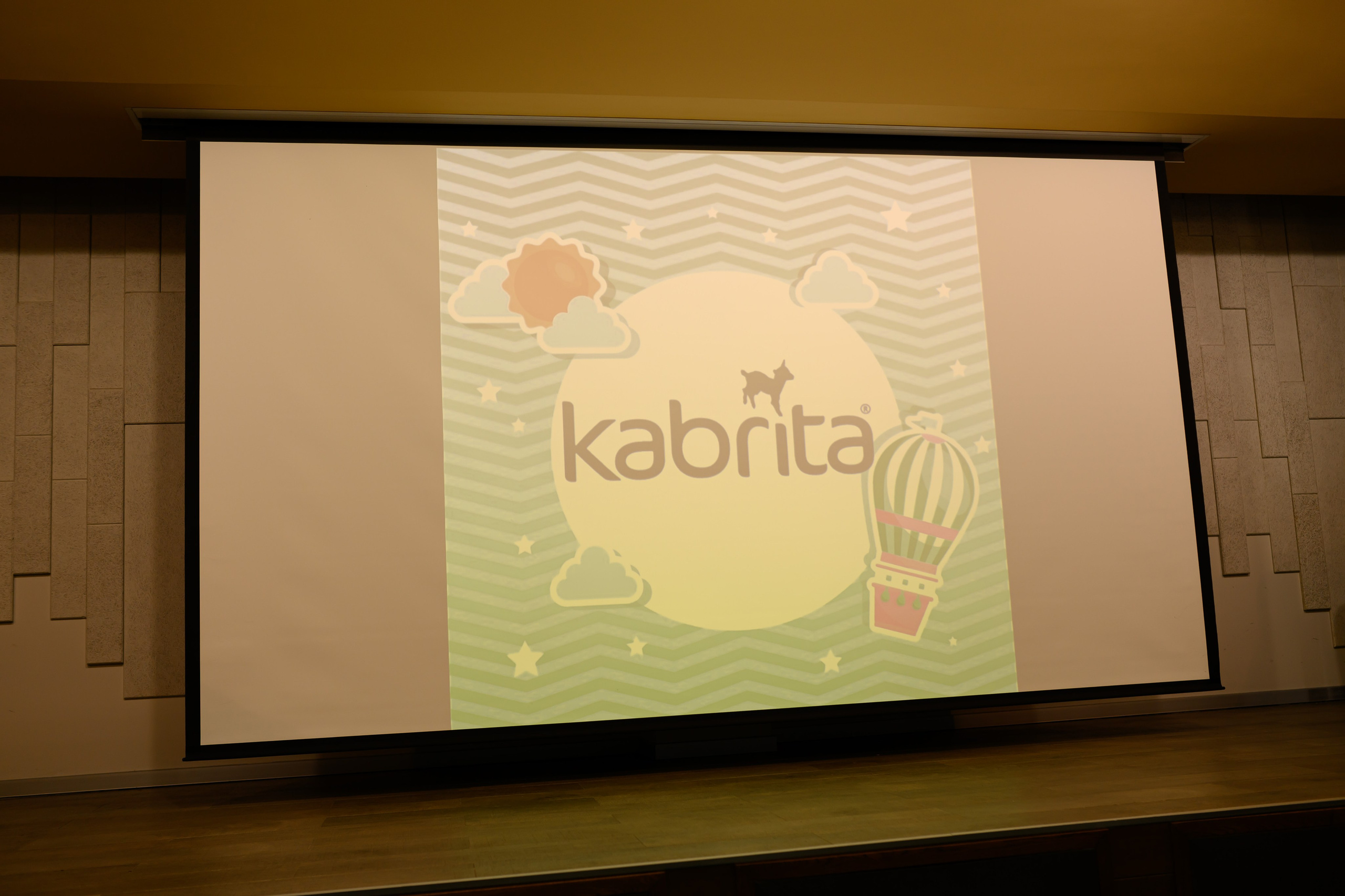 Праздник материнства ноябрь 2025. Профессиональный фотограф Елена Красилина г.Ярославль, г. Рыбинск