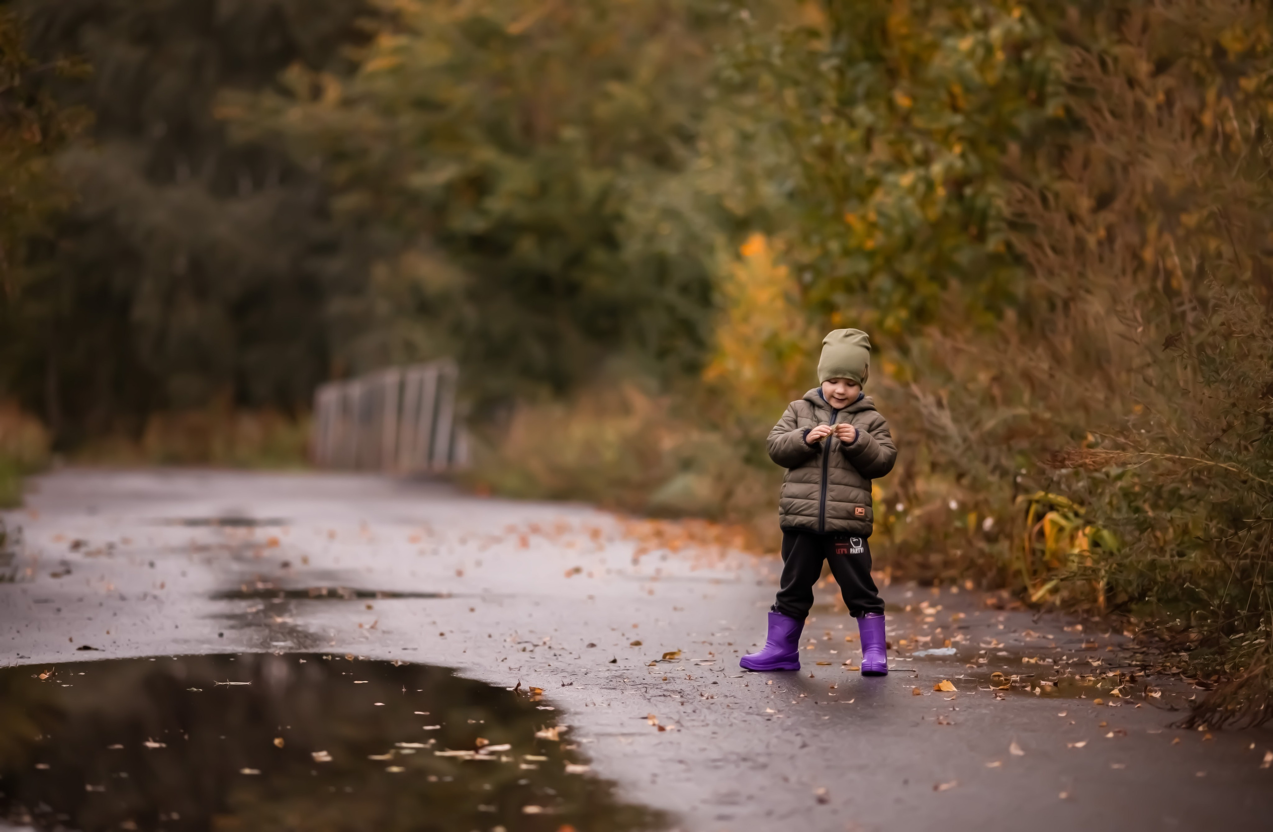 Осень в дерене. Ольга Смирнова юрист, фотограф