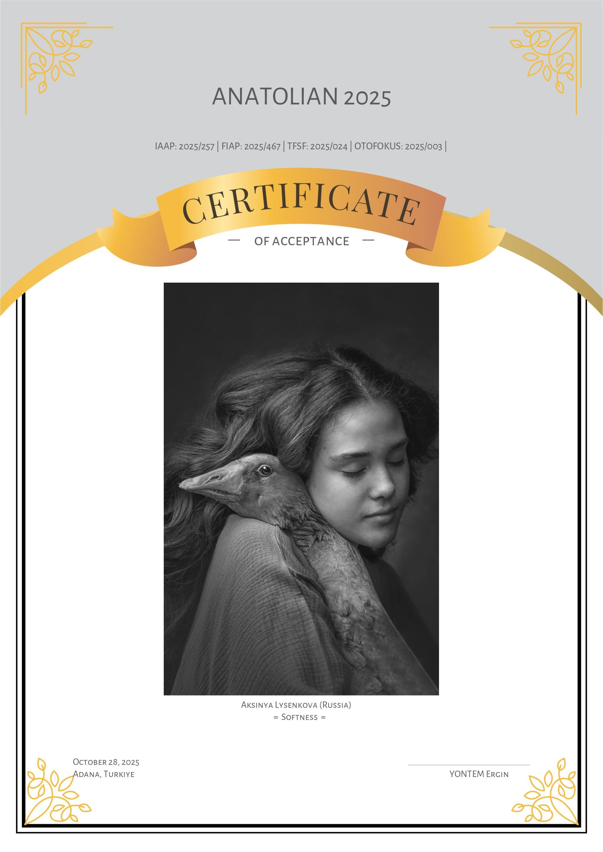 Дипломы. Детский, семейный фотограф в Ижевске и Москве Аксинья Лысенкова ADEN