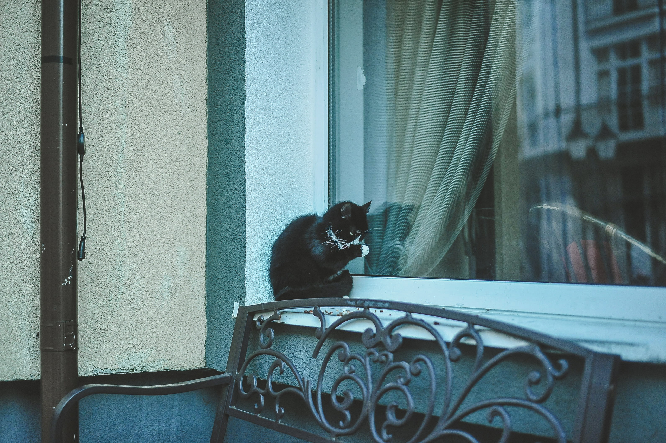 Прогулка. Элька Мурзина