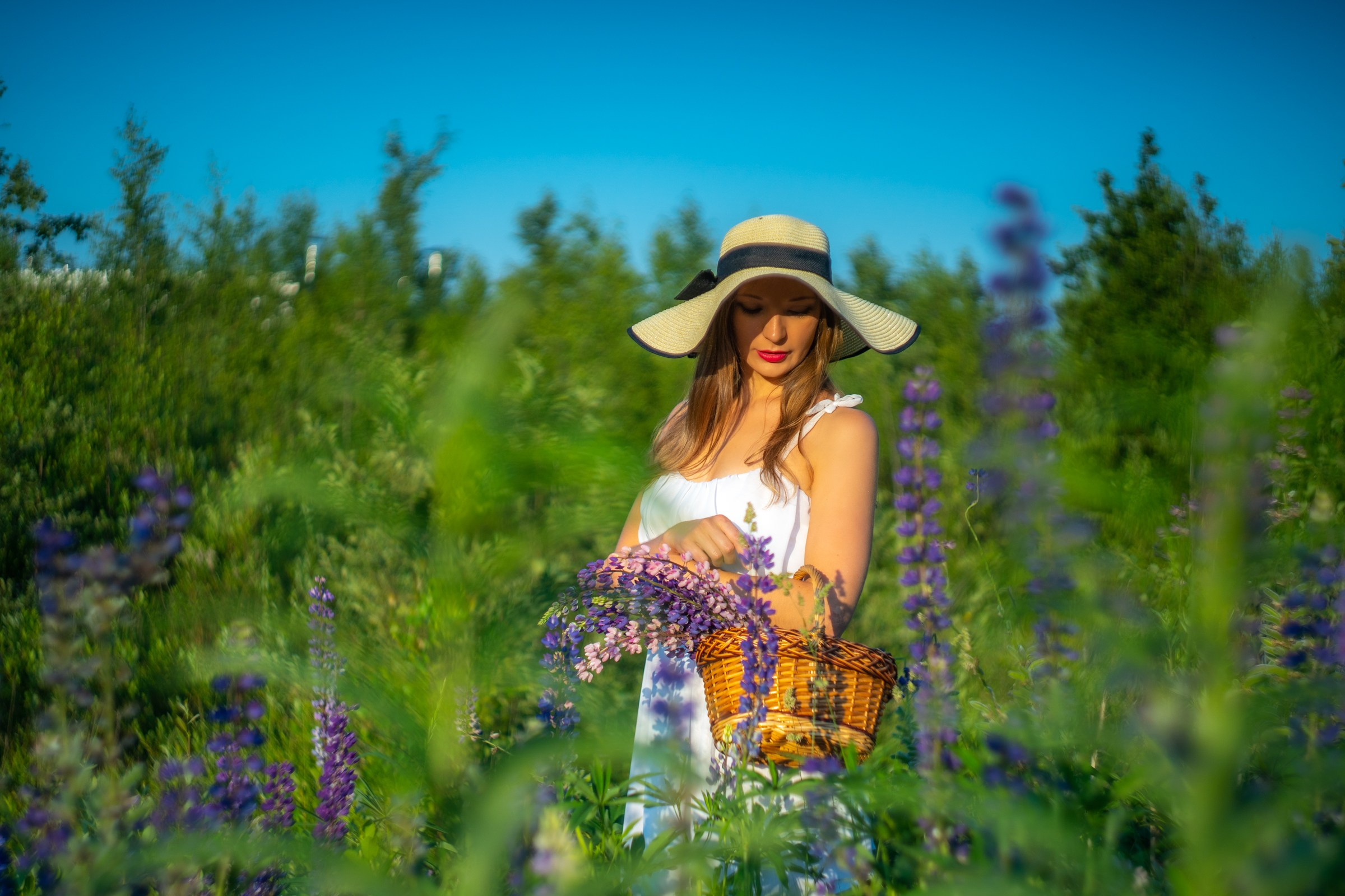 Лиза. Люпины. Портретный фотограф в Санкт-Петербурге Александр Быстрицкий