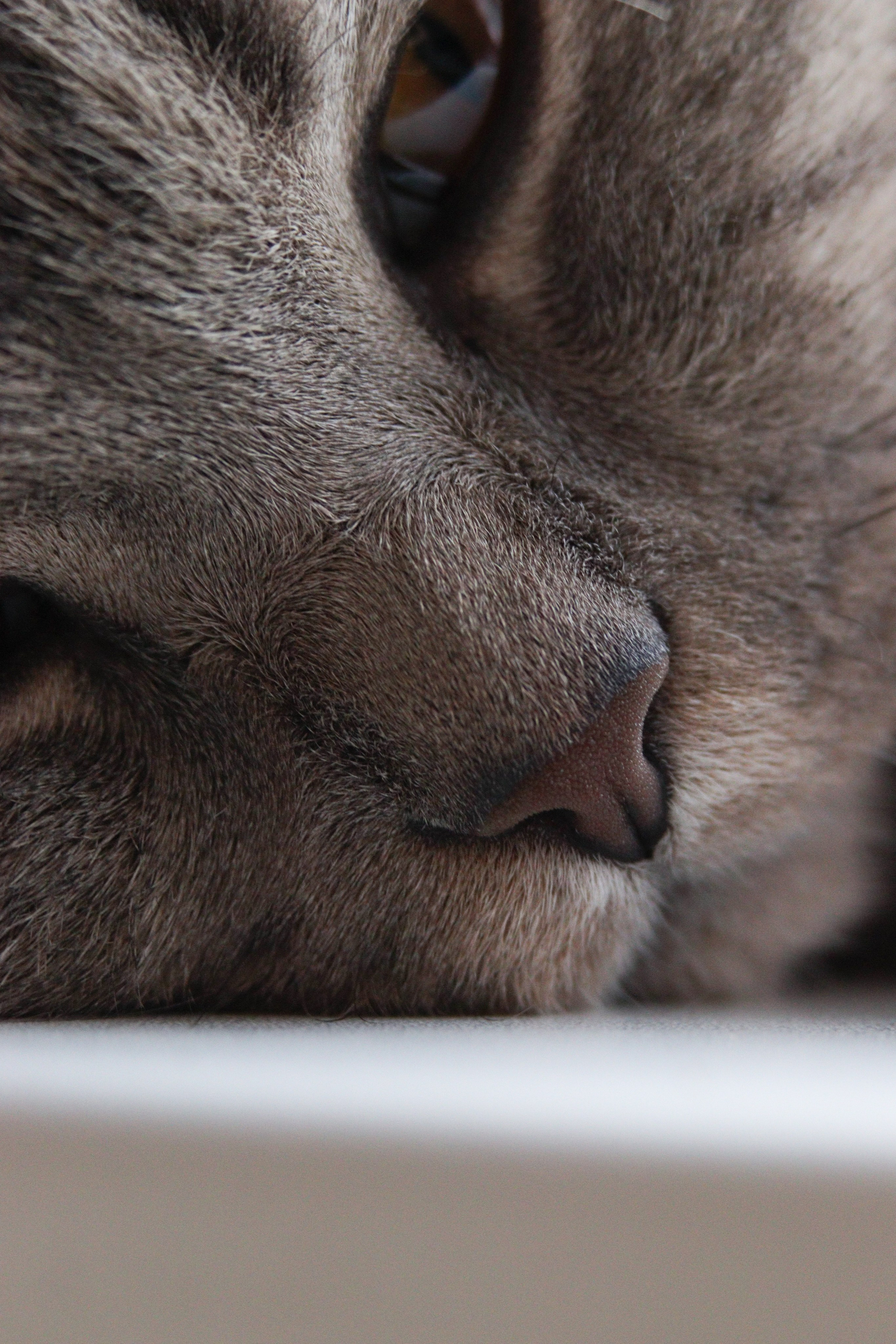 М А Р Т И Н. — Digital Noise —