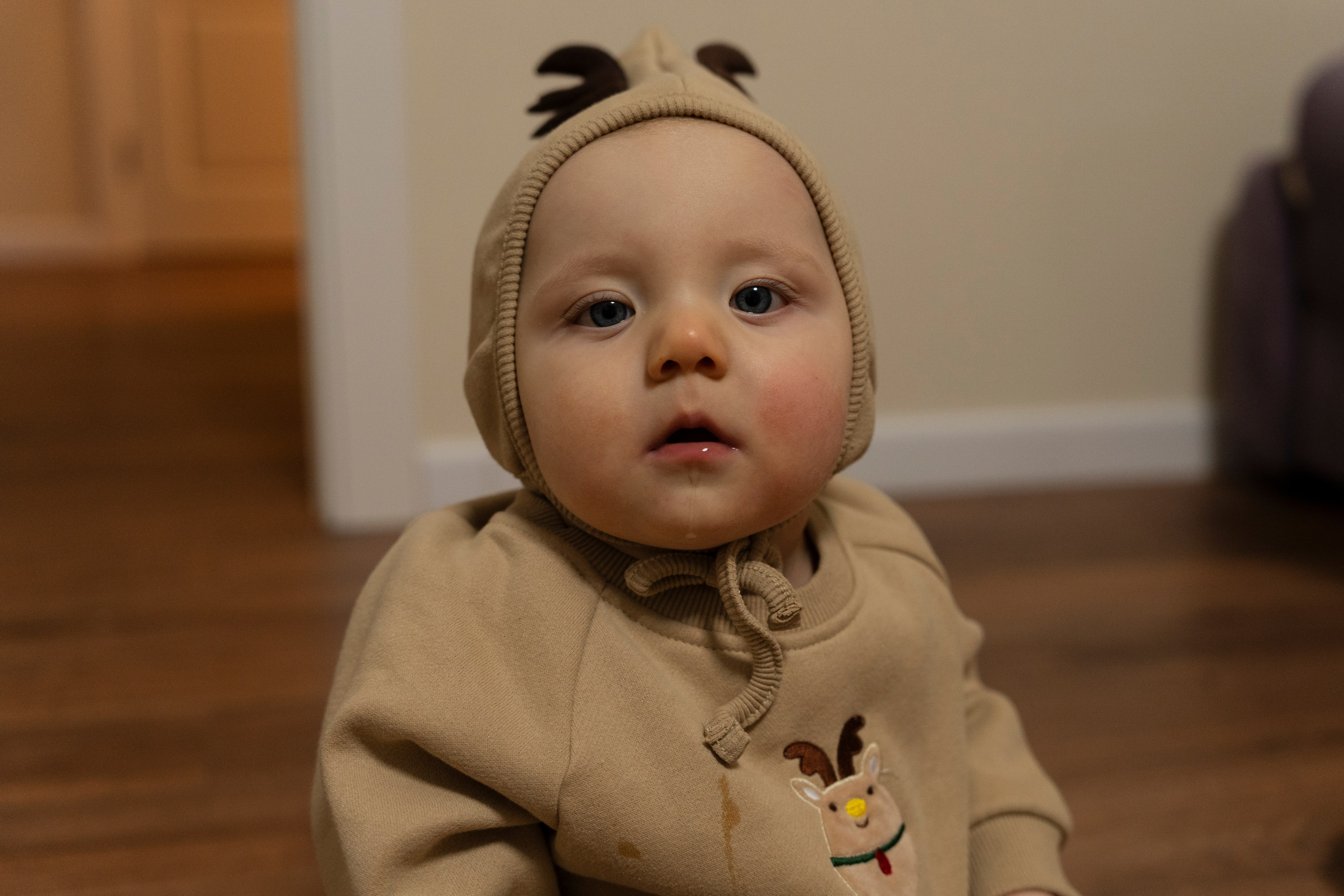 Новогодние тройняшки. Главная