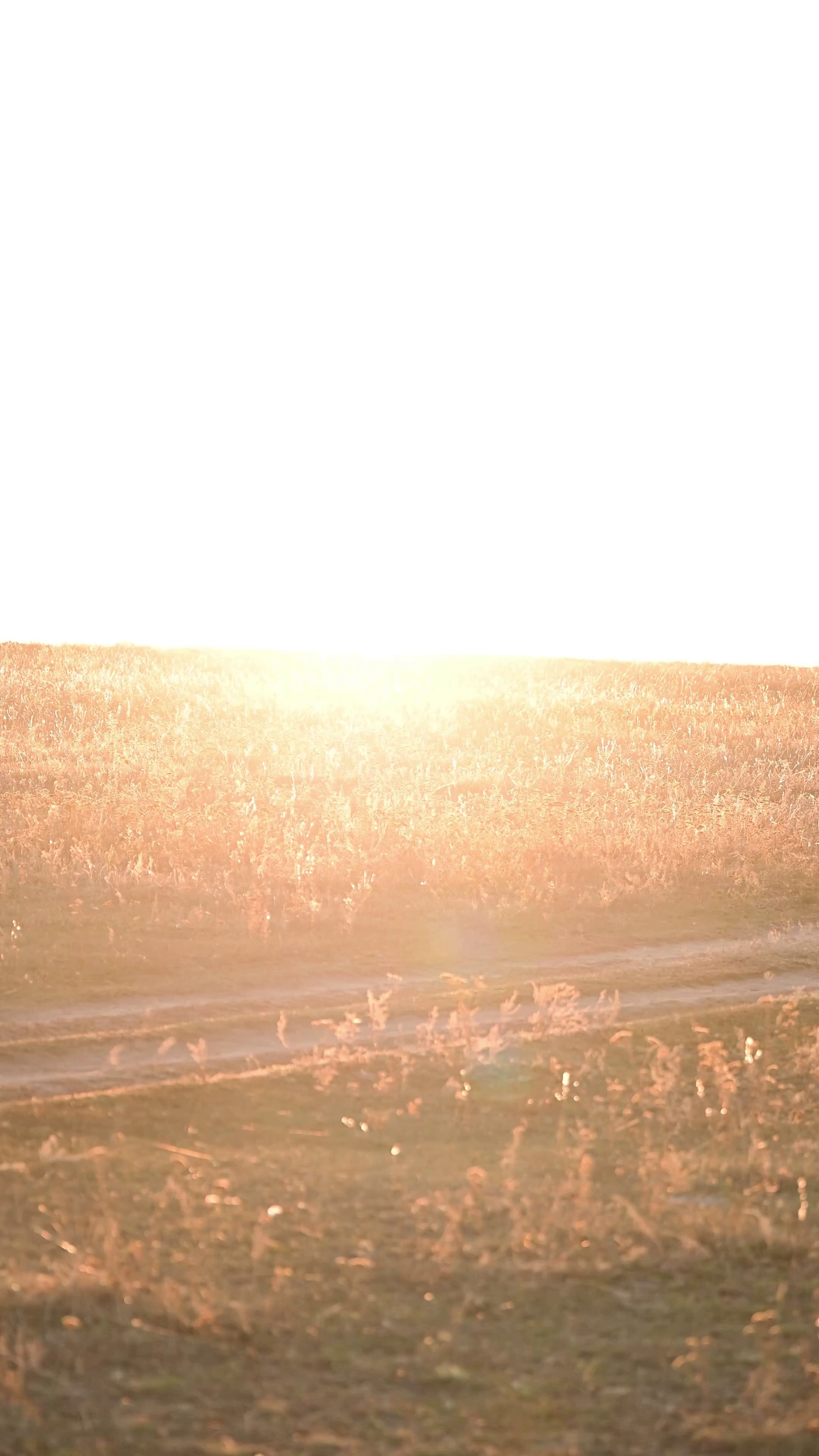 Видео в формате маленькой истории. Мила Астахова