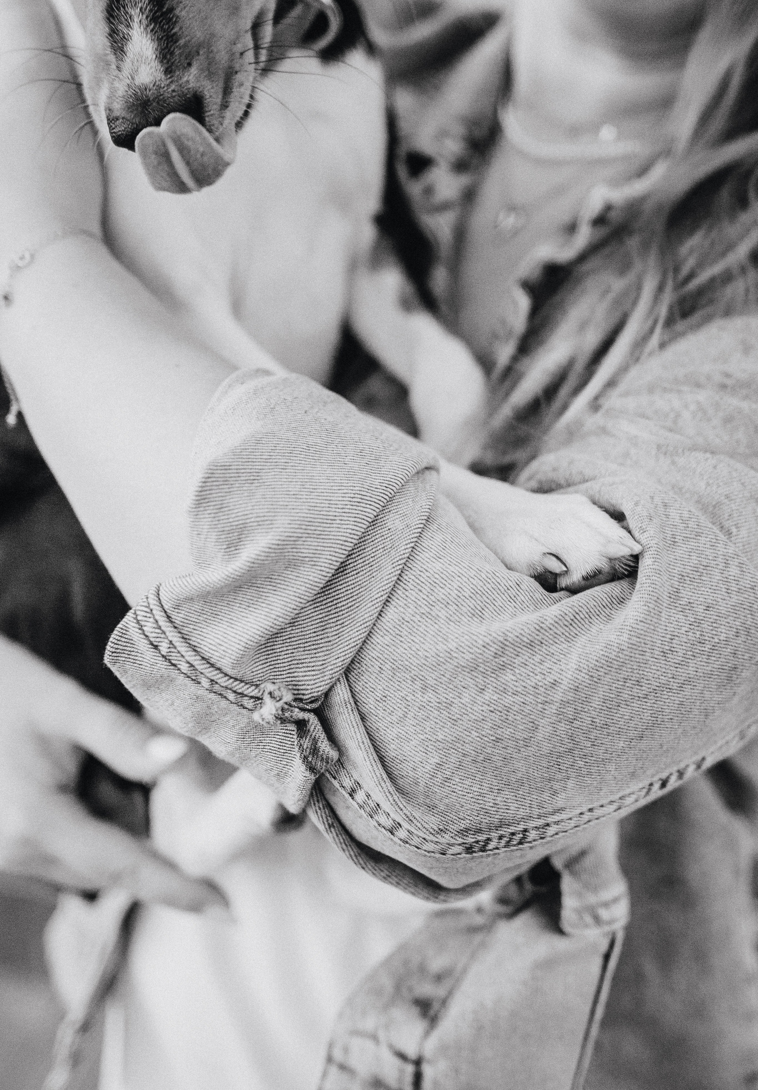 Лена, Никита и Эсма. Фотограф-анималист Богданова Полина