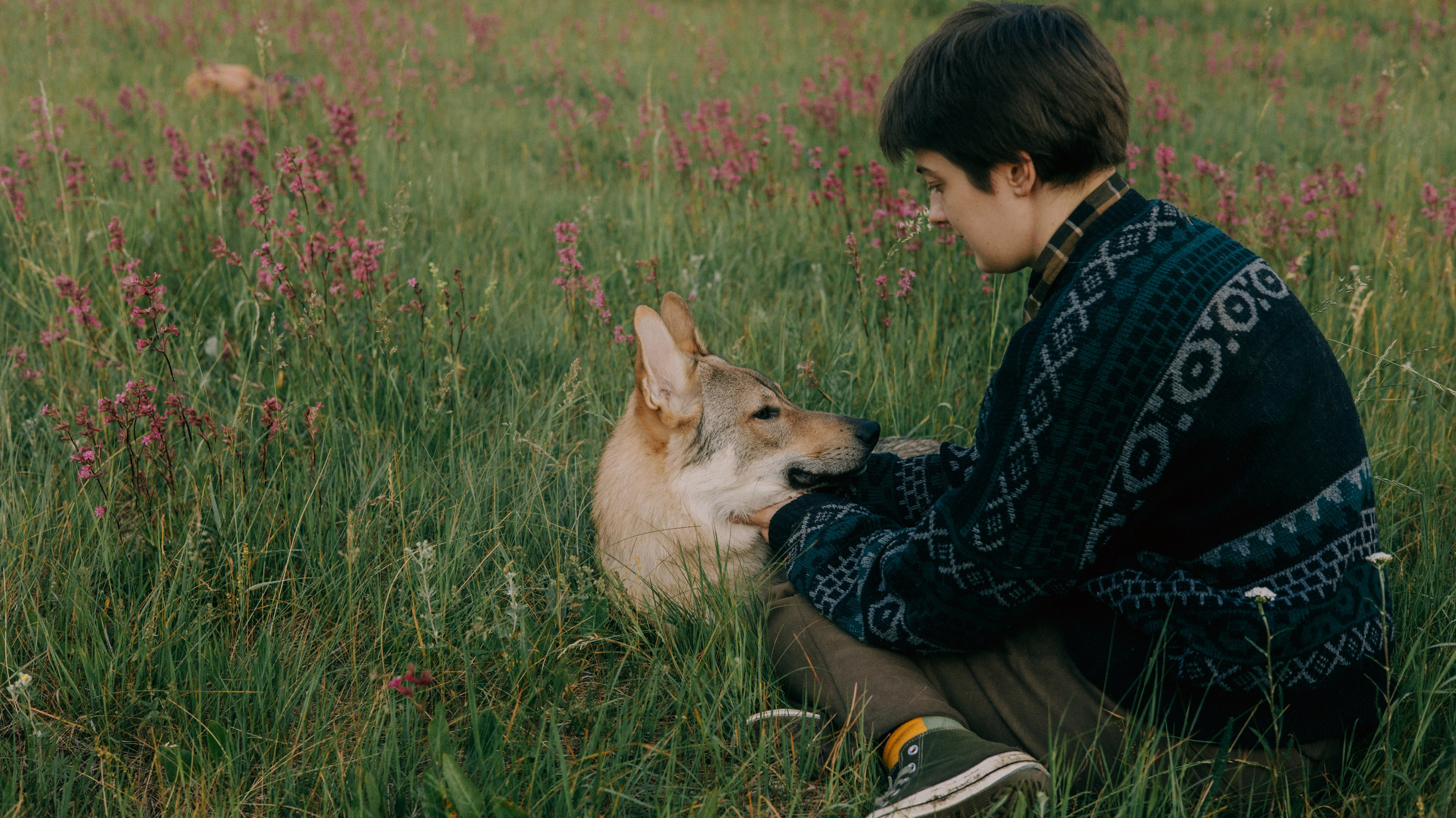 Маша и Дэрил. Фотограф-анималист Богданова Полина