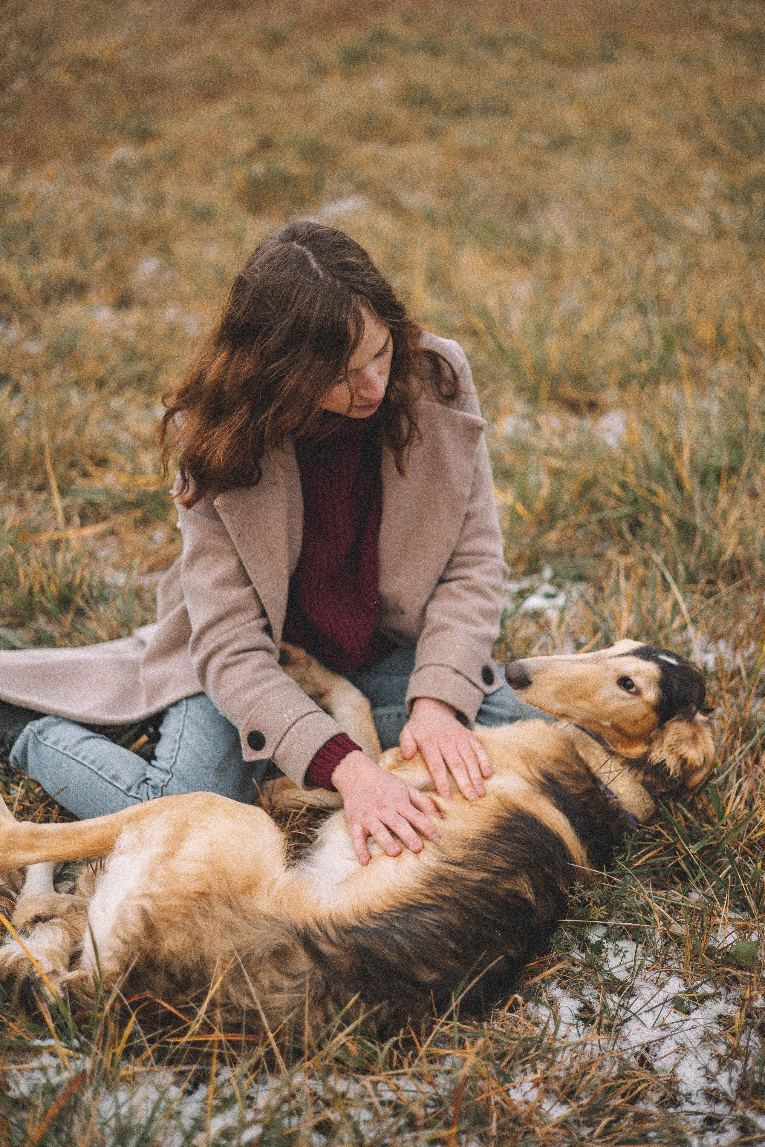 Алена, Леви и Микаса. Фотограф-анималист Богданова Полина