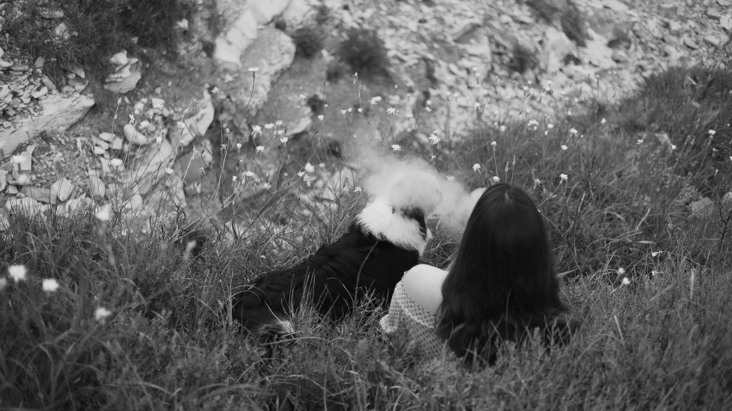 Ира и Джесс. Фотограф-анималист Богданова Полина