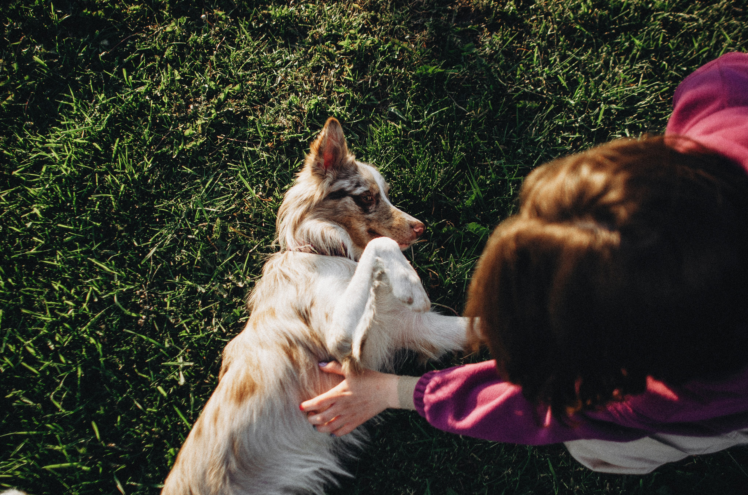 Аня и Дэймон. Фотограф-анималист Богданова Полина