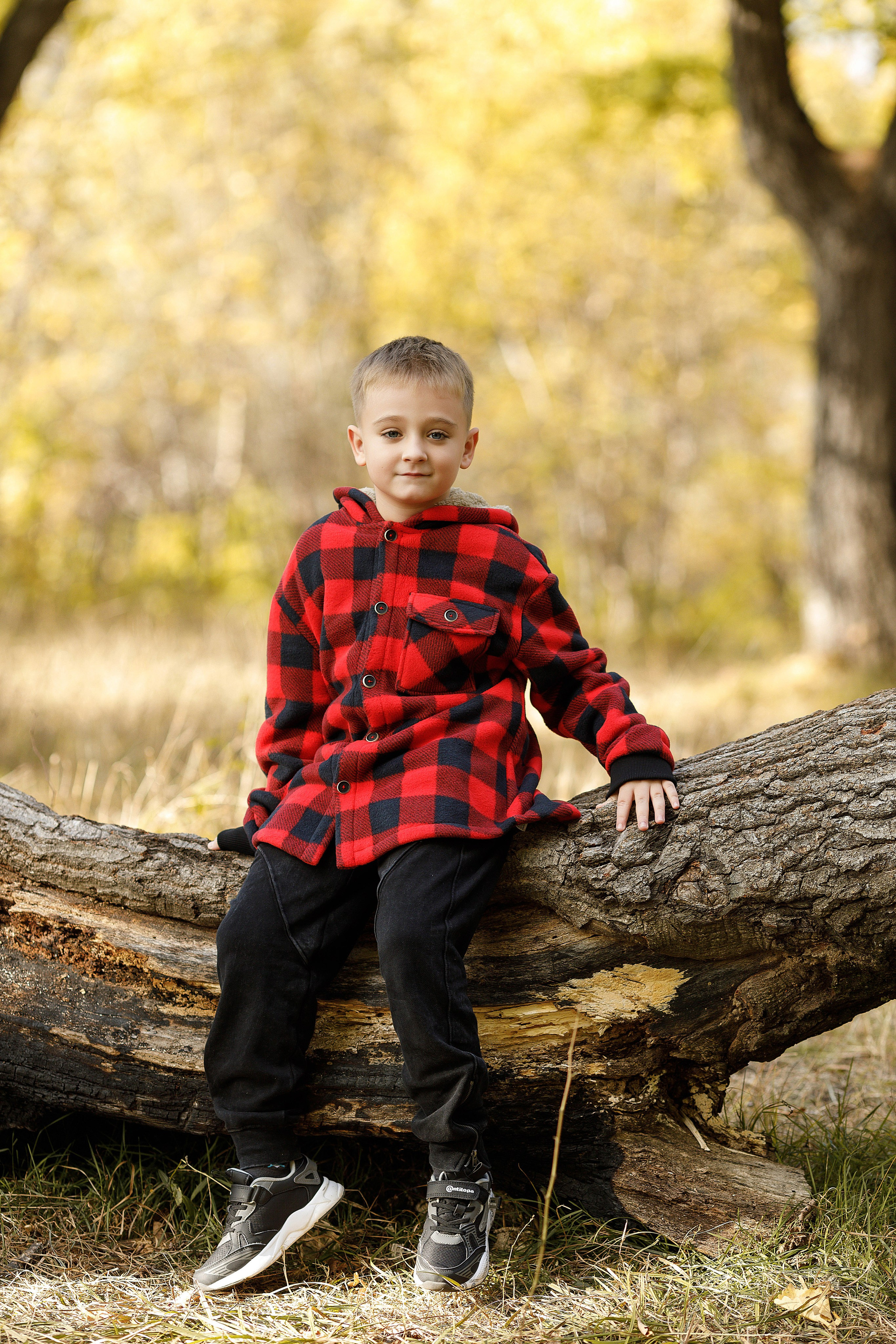 Осень Гимназия Артем. Photoalbum-vl.ru