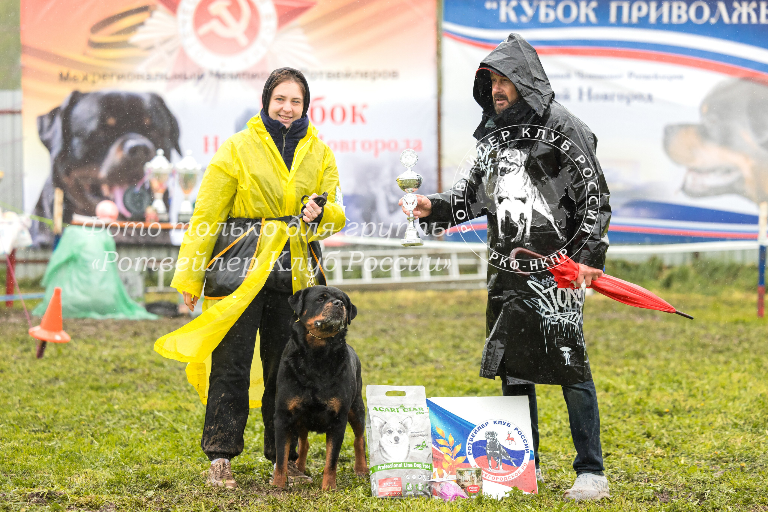 Нижний Новгород 2хмоно ротвейлеров 10-11.05.2025. Фотограф-анималист Юлия Германика