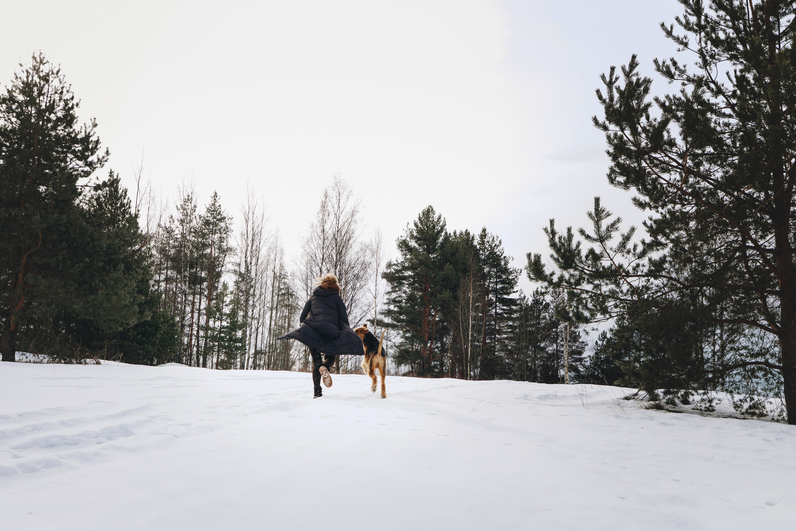Оля и Хард. Фотограф анималист Осипчикова Мария