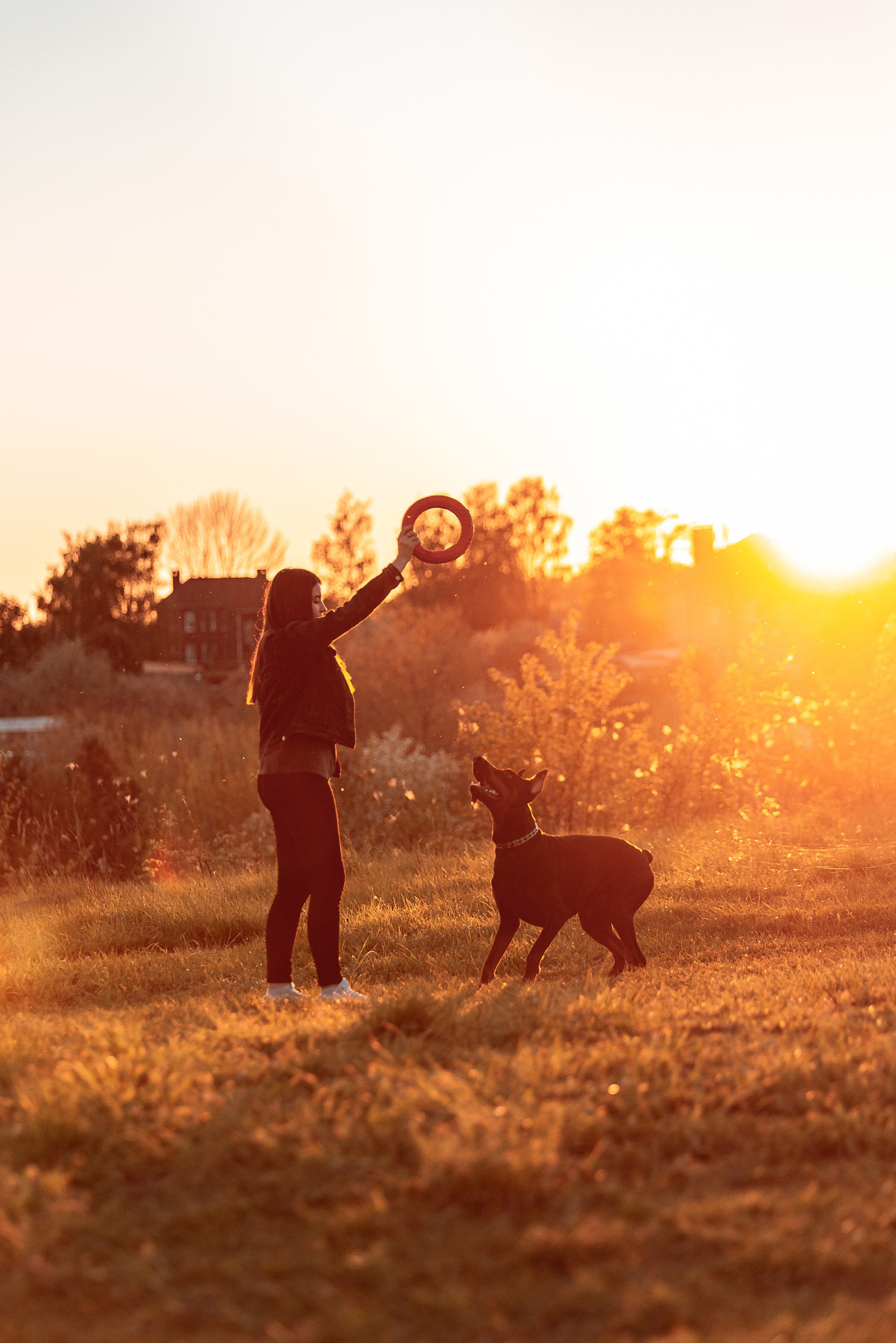 Юля, Андрей и Арес. Фотограф-анималист Анастасия Парфенова|Екатеринбург